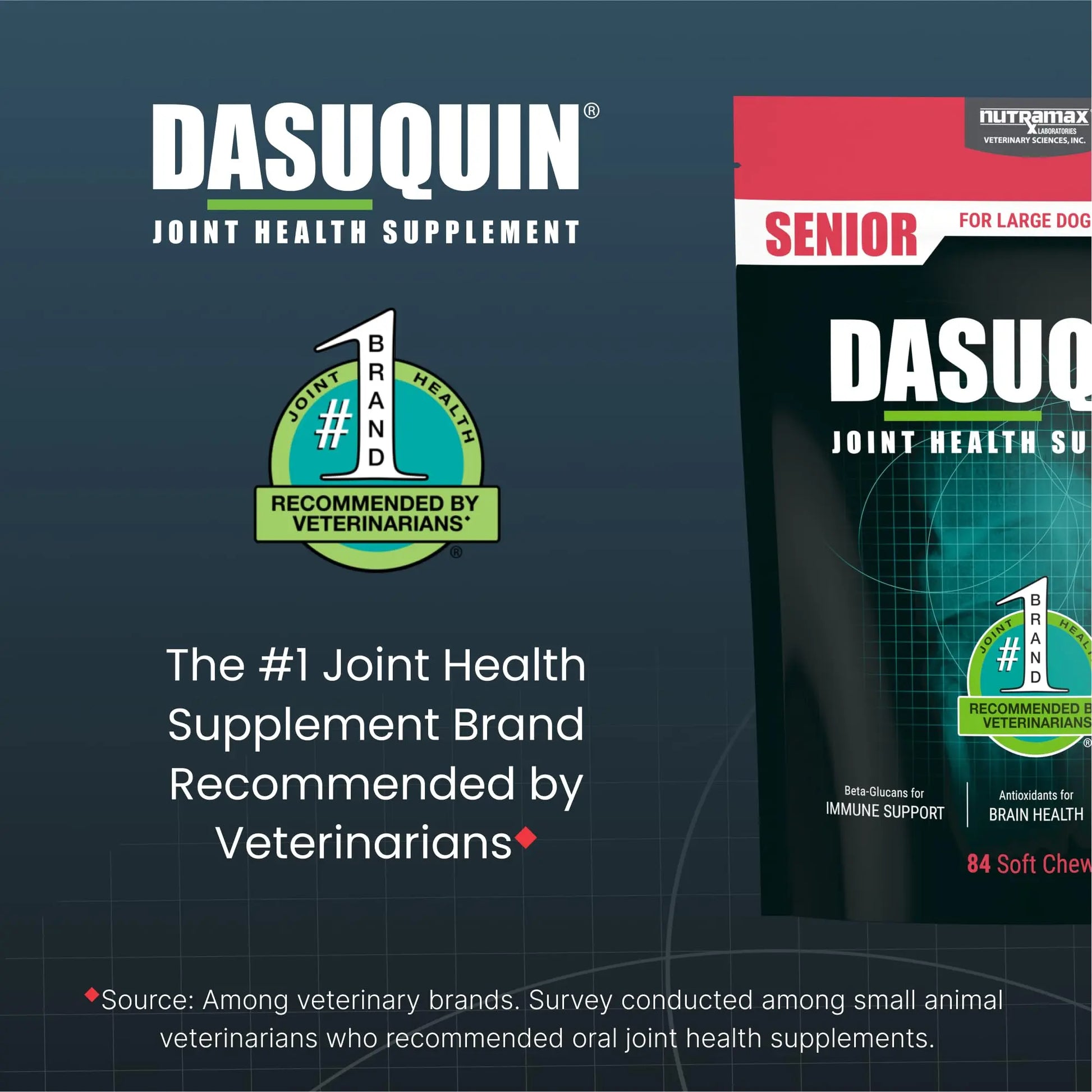 Nutramax Dasuquin Joint Health Supplement for Large Senior Dogs – for Immune Support, Skin & Coat Health, and Brain Health, 84 Soft Chews Nutramax Laboratories uk supplements