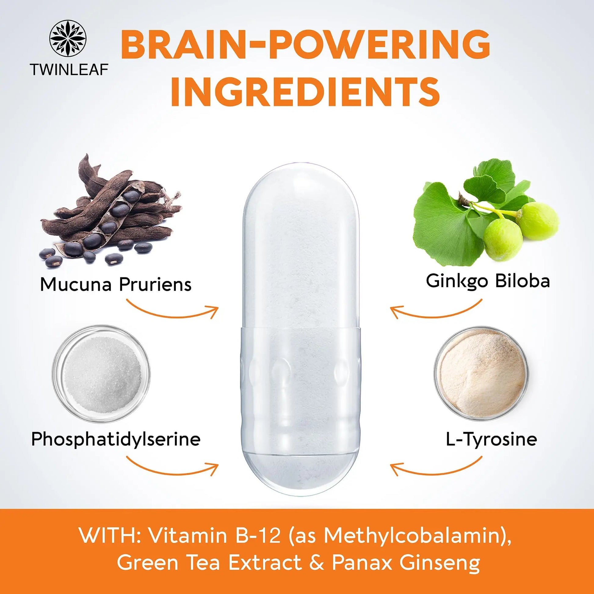 TWINLEAF Dopamine Brain Support Supplement, 1000 mg Blend - Made in USA - with DMAE, Vitamin B12 and L-Tyrosine TWINLEAF uk supplements