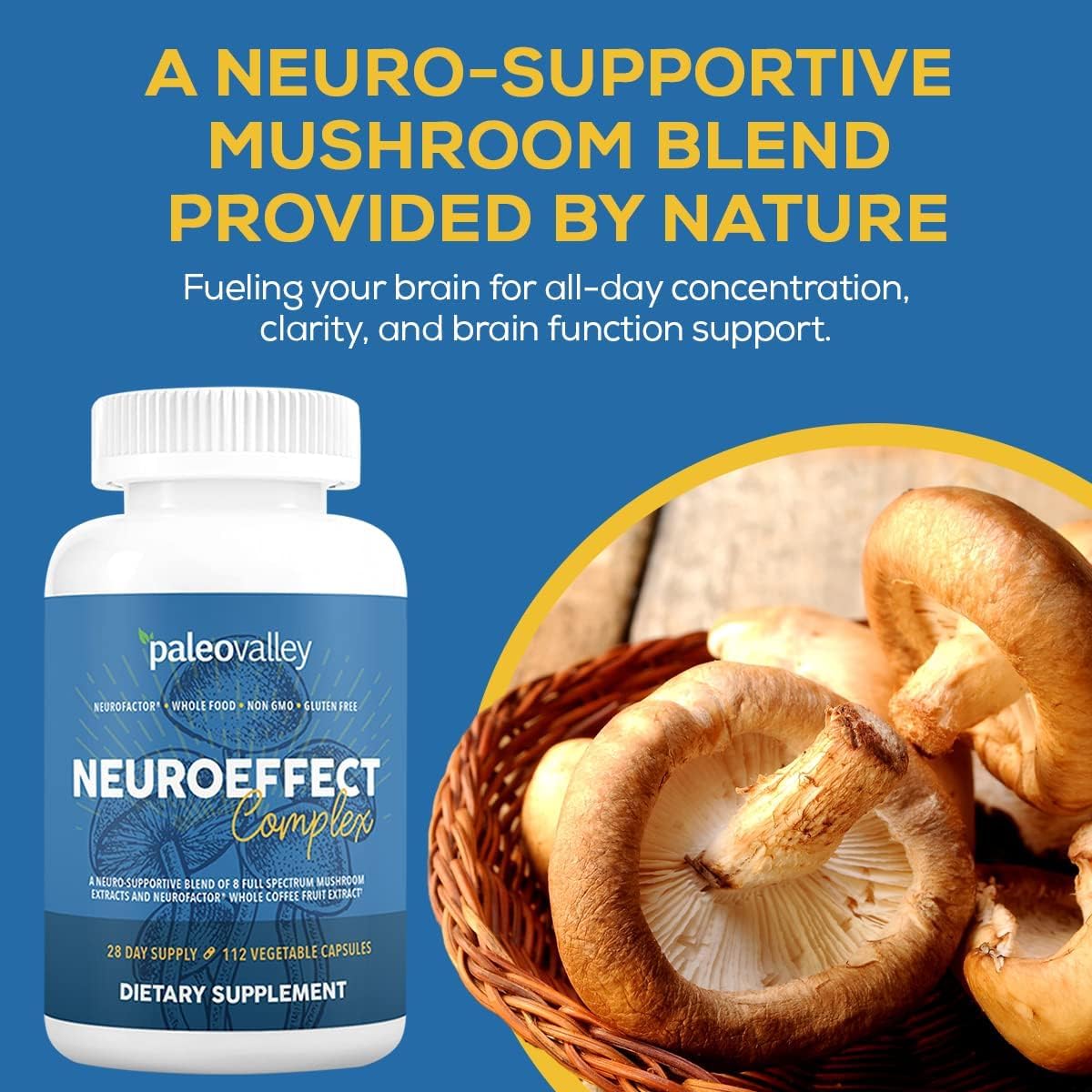 Paleovalley NeuroEffect - Neuro Mushroom Coffee Nutritional Supplement for Focus, Memory, and Energy Support - 28-Day Supply - 8 Full Spectrum Mushroom and Whole Coffee Fruit Extracts Paleovalley uk supplements
