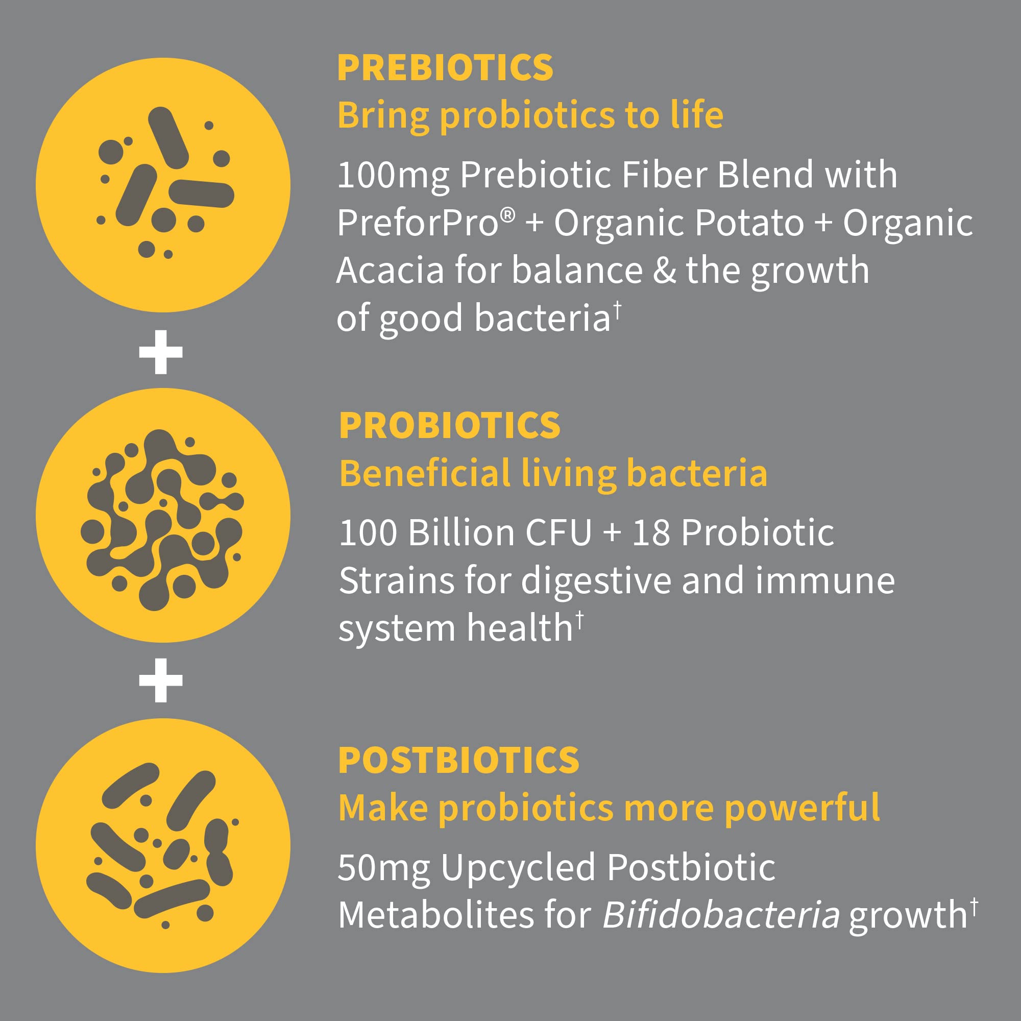 Garden of Life Dr.Formulated Pre, Post & Probiotics 100 Billion CFU Once Daily 3-in-1 Complete Probiotics,Prebiotics & Postbiotics Supplement for Women and Men-Extra Strength,30 Day Supply,(Pack of 2) Garden of Life uk supplements