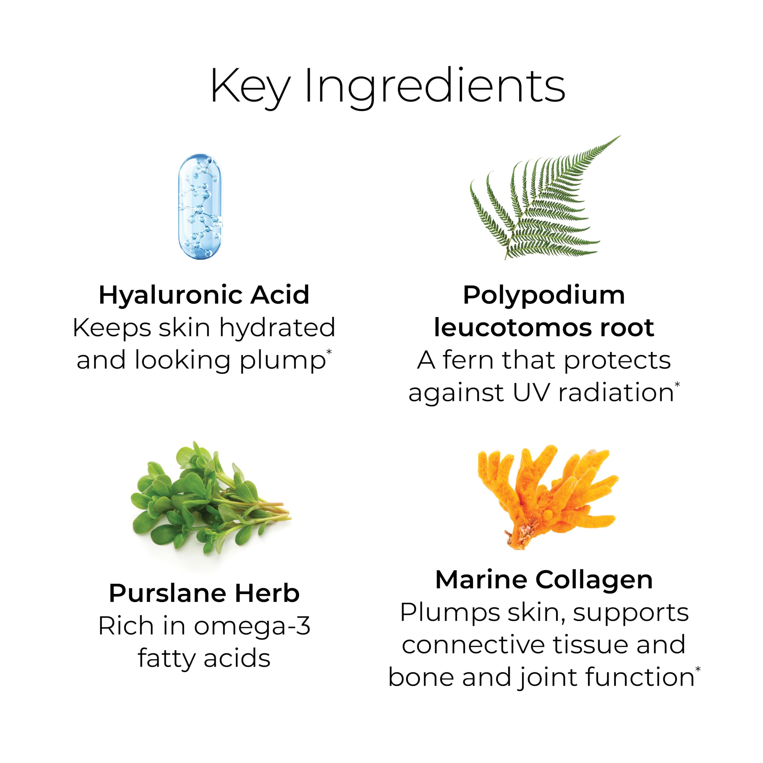 Hush & Hush TimeCapsule Multivitamin, Women's Multivitamin, Men's Multivitamin, Clean Nutraceuticals Supplements That Contains Hyaluronic Acid Hush & Hush uk supplements