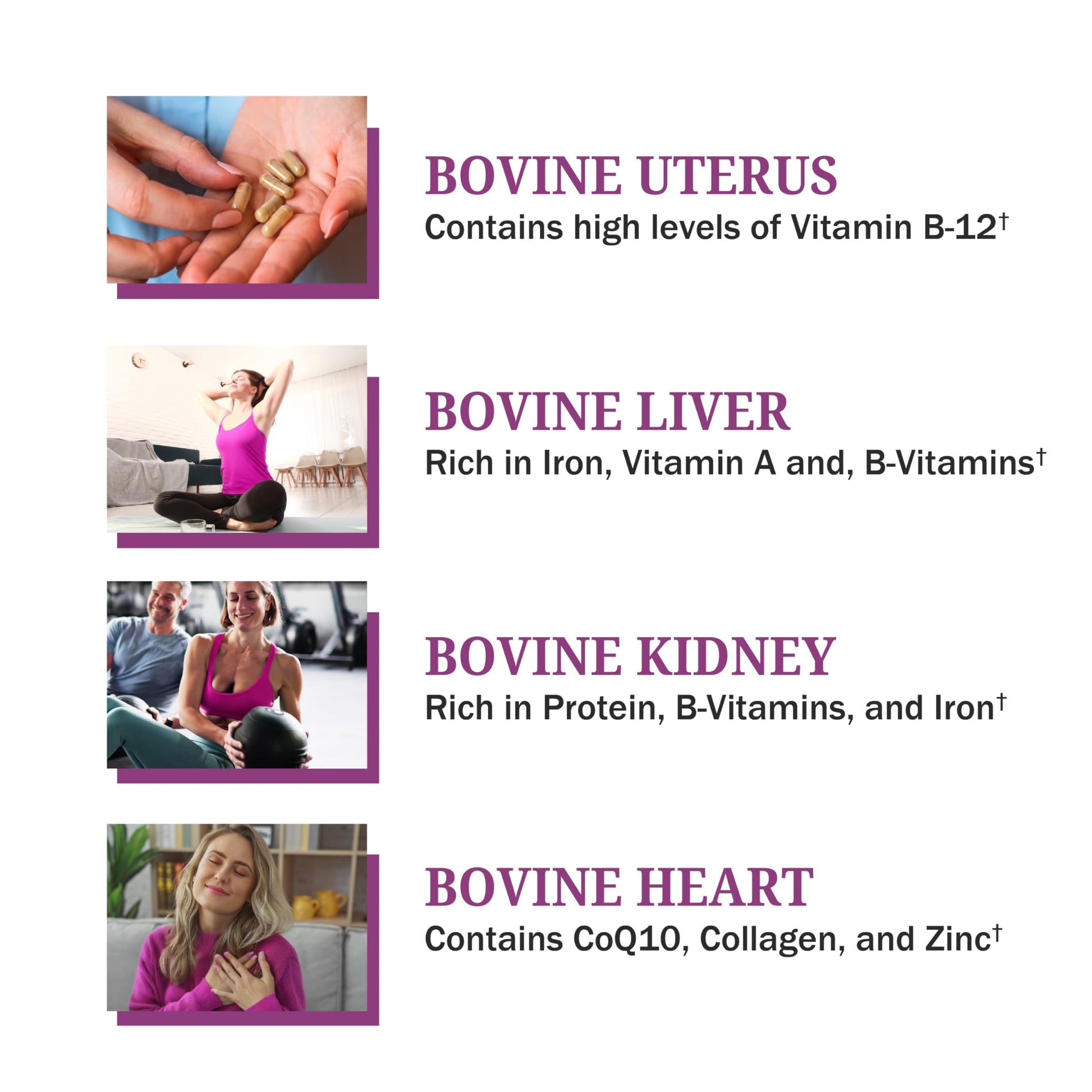 BioSchwartz Primal Beef Organ Supplement for Women - 60 Capsules - Grass-Fed & Pasture-Raised - Supports Healthy Hair Skin and Nails, Hormone Balance - with Bovine Liver, Kidney, Heart, Uterus Powder BioSchwartz uk supplements
