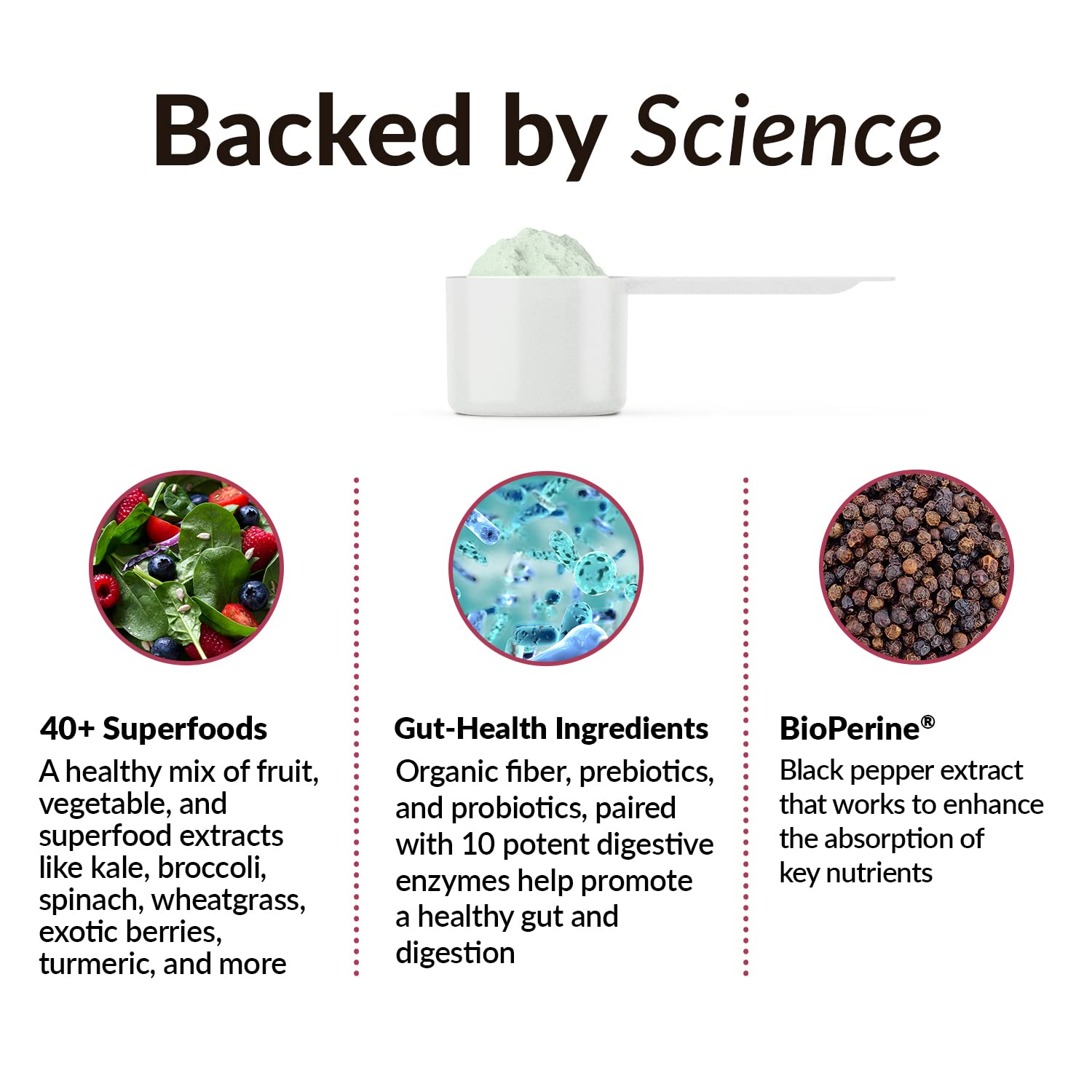 FORCE FACTOR Smarter Greens Daily Wellness Powder to Support Energy, Immunity & Digestion Force Factor uk supplements