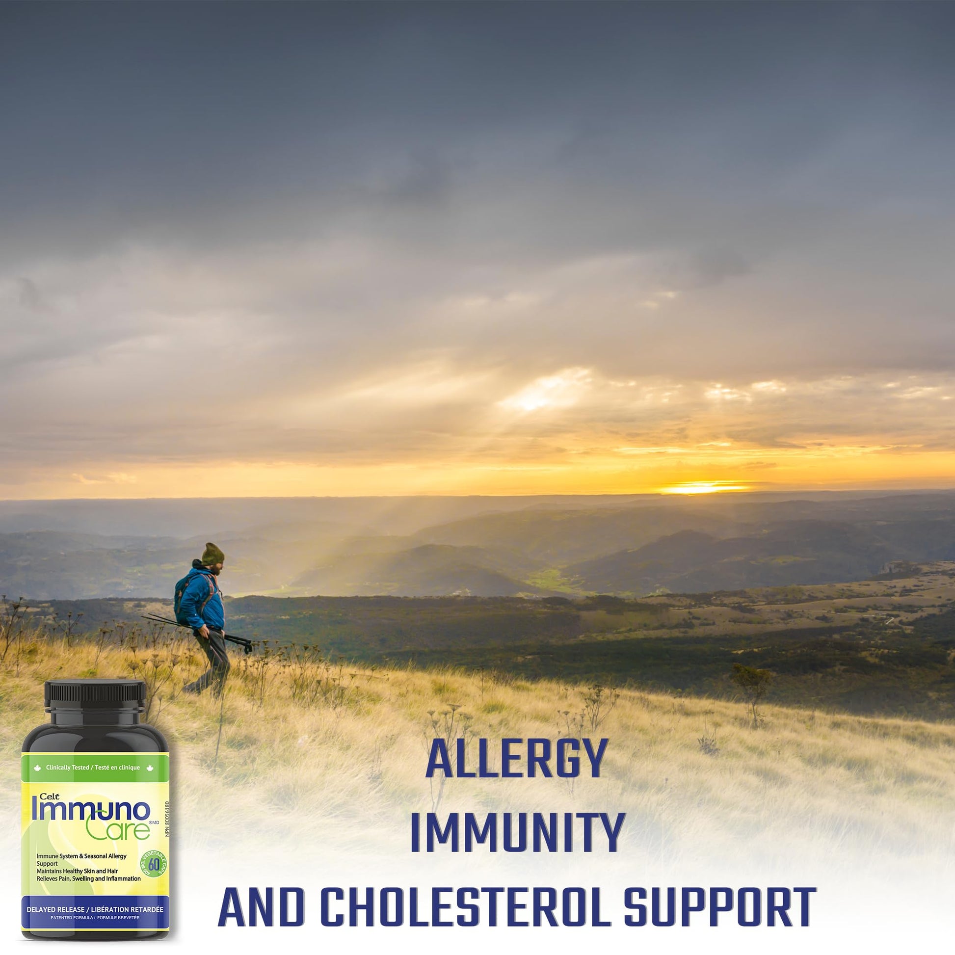 Celt Immunocare 60 v-caps - Potent Seasonal Allergy Blend - Adult Immunity Support - Cholesterol Modulator - Plant Sterols Ultra Strength - 7 Key Immunity Enhancing Ingredients Celt Immuno-Care uk supplements
