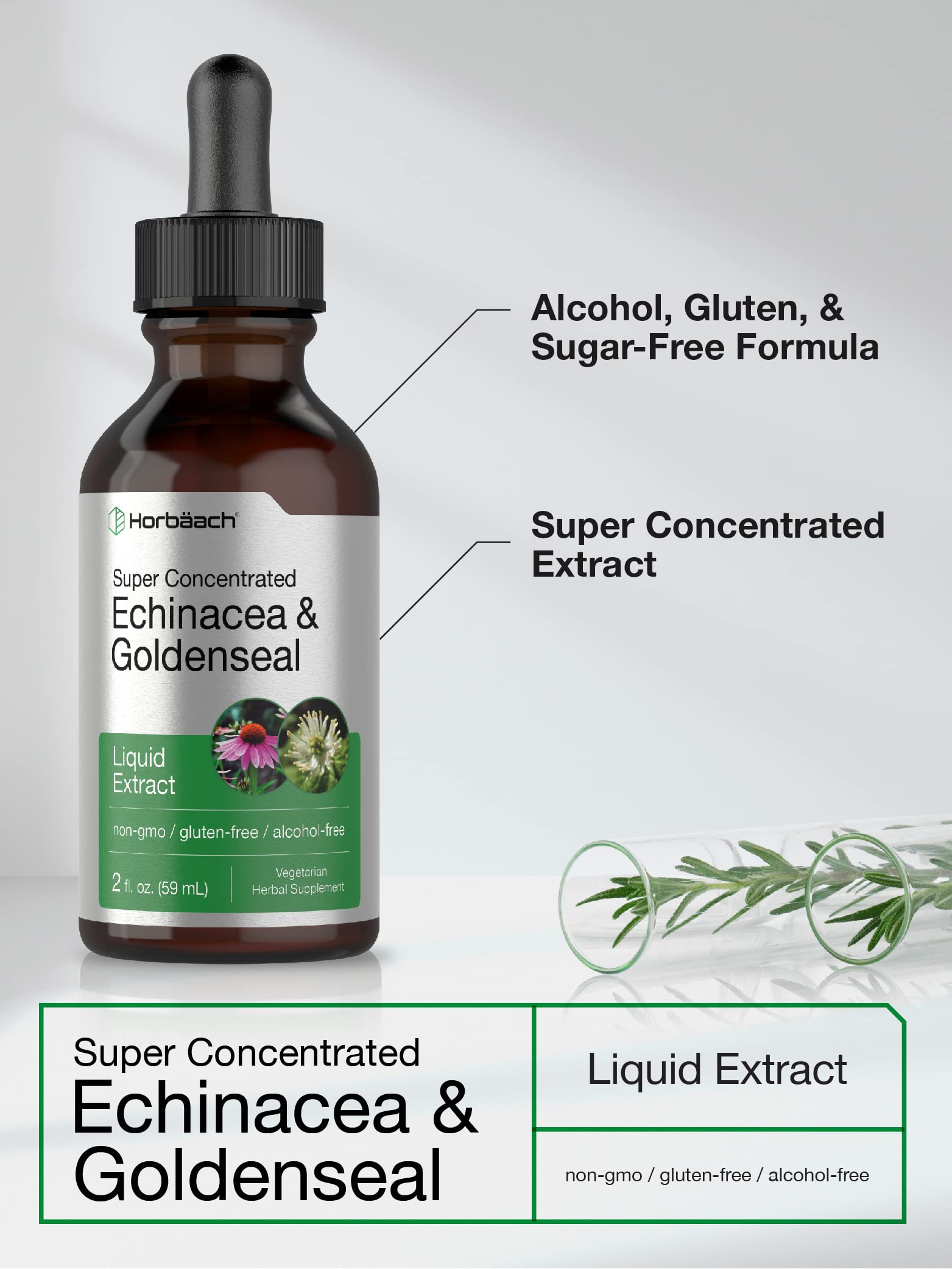 Echinacea Goldenseal Liquid Extract | 2 fl oz | Alcohol Free Tincture Drops | Vegetarian Horbäach uk supplements