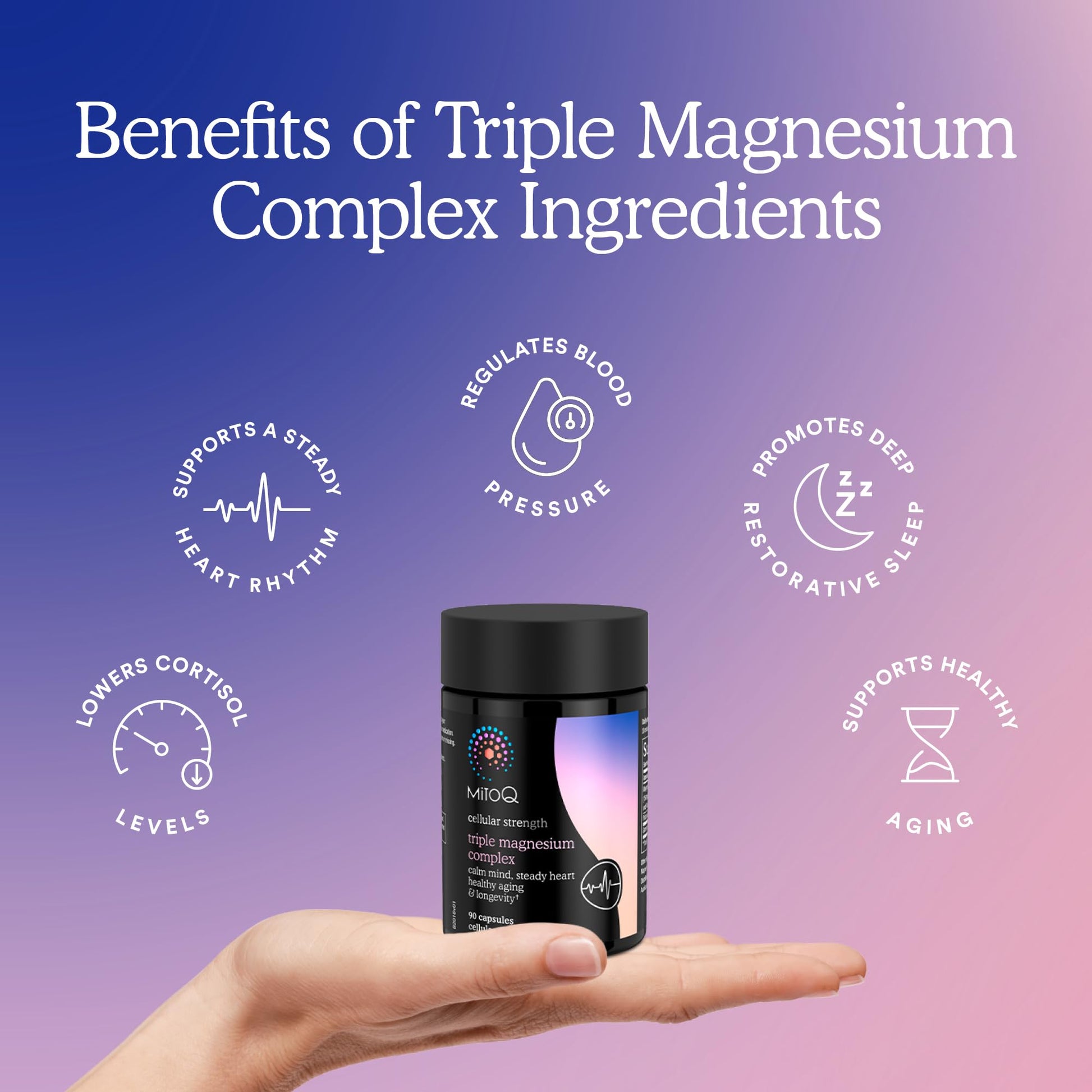 MitoQ Triple Magnesium Complex | Magnesium Glycinate, Taurinate, Oxide with GABA for Heart Health, Stress Management, & Deeper Sleep | High Absorption | 90 Capsules MitoQ uk supplements