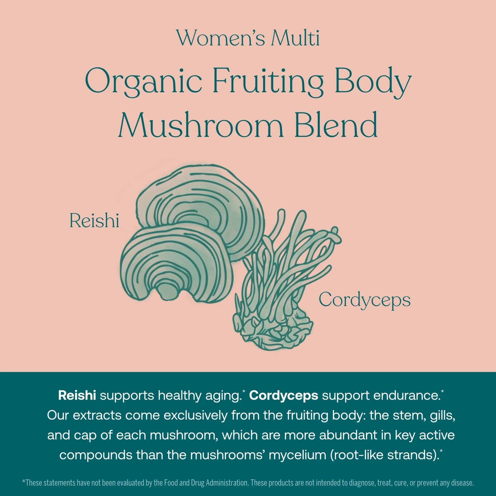 True Grace One Daily Men’s Multivitamin (30 Vegan Tablets) + One Daily Women’s Multivitamin (30 Vegan Tablets) - Non-GMO & Gluten Free - 30-Day Supply of Each True Grace uk supplements