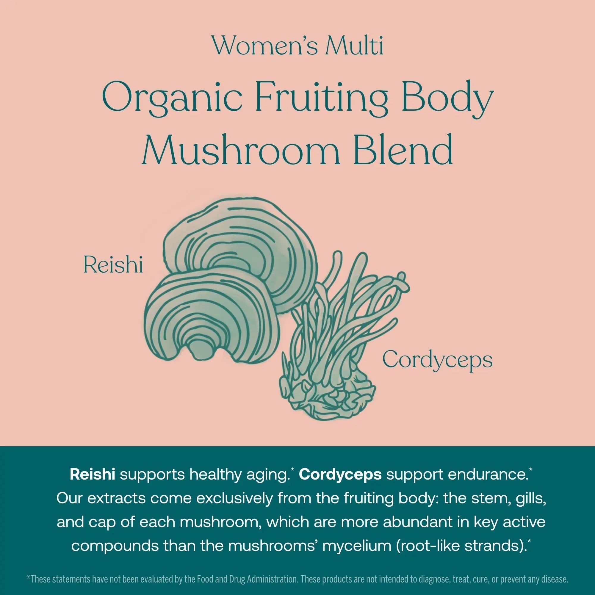 True Grace One Daily Men’s Multivitamin (30 Vegan Tablets) + One Daily Women’s Multivitamin (30 Vegan Tablets) - Non-GMO & Gluten Free - 30-Day Supply of Each True Grace uk supplements
