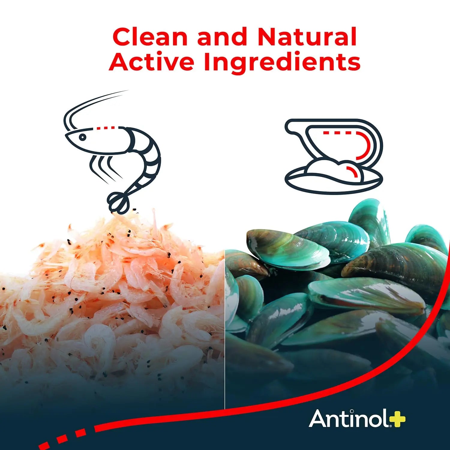 Antinol Plus, Mobility, Hip, and Joint Supplement for Dogs, Green-Lipped Mussels and Krill Oil - Dog Joint Supplement, Better and Faster Than Glucosamine and Chondroitin, 120 Soft Gels Antinol uk supplements