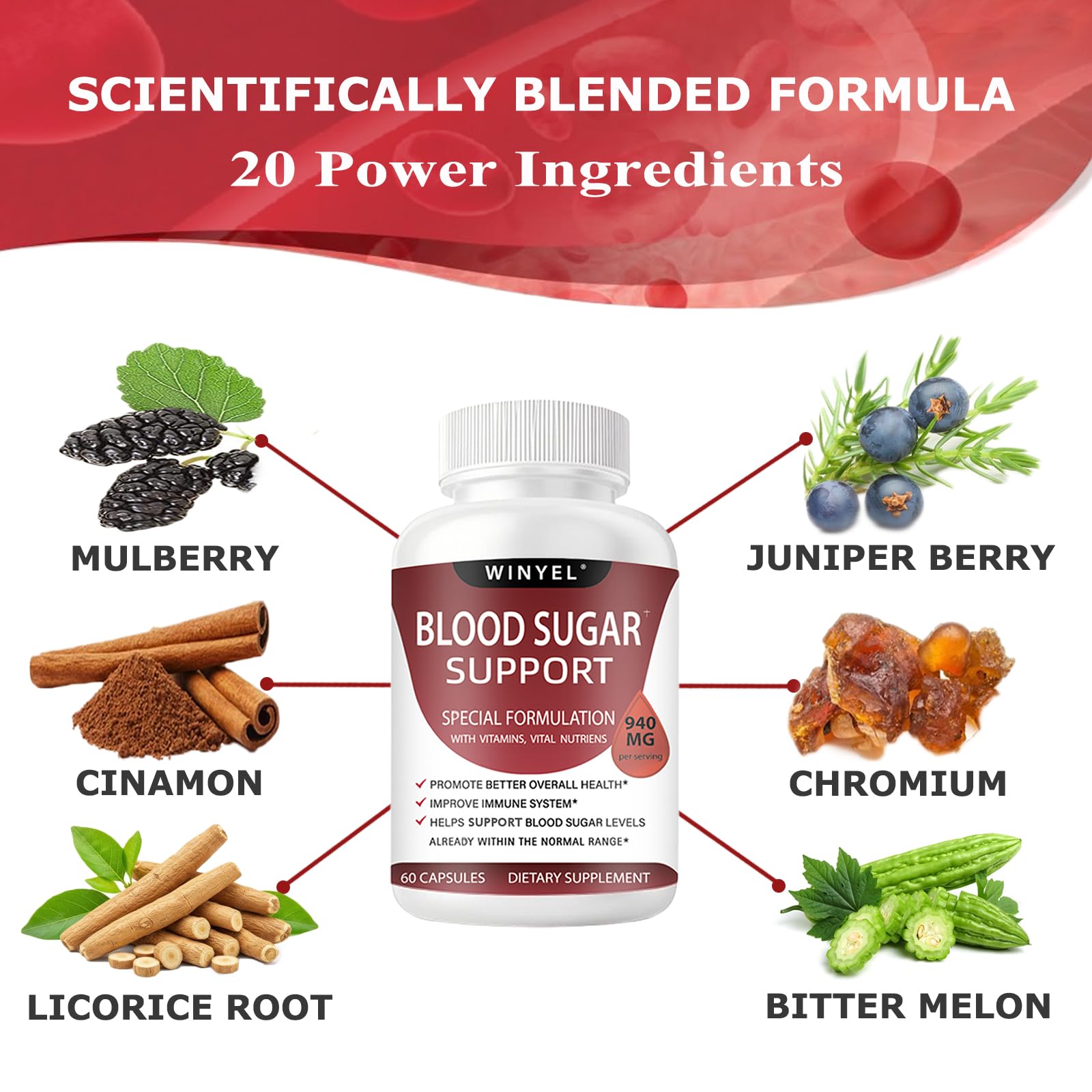 WINYEL Blood Sugar Complex Supplement - with Cinnamon, Bitter Melon, Chromium, Mulberry, Alpha Lipoic Acid, 60 Capsules WINYEL uk supplements