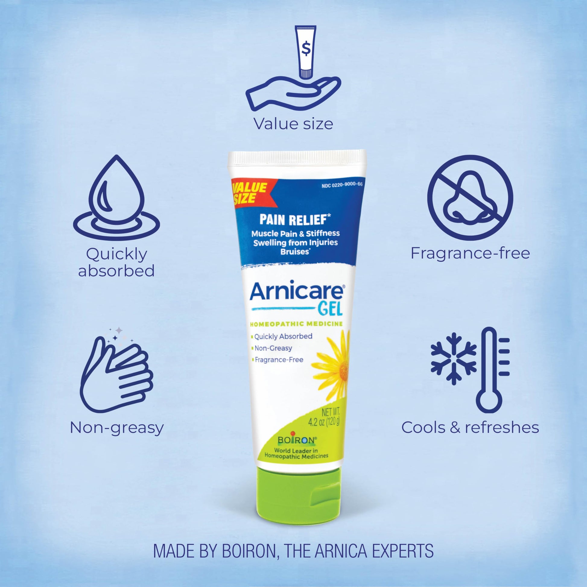 Boiron Arnicare Gel 4.2 oz (Twin Pack) for Joint Pain Relief, Muscle Pain, Muscle Soreness, and Swelling from Bruises or Injury - Non-Greasy and Fragrance-Free Arnica Boiron uk supplements