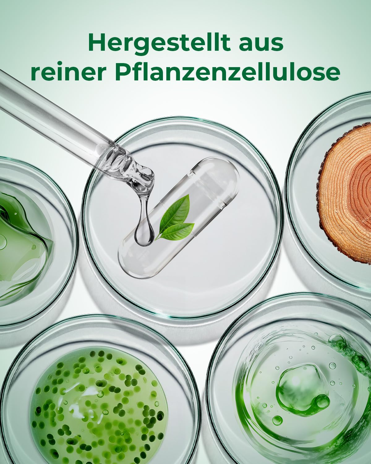 MéipaLien HPMC Empty Capsules Size 3-200 Clear Count Pill Capsules Empty - Plant-Based Cellulose | Vegetarian, Halal, Non-GMO | for DIY Supplement & Herbal Filling MéipaLien uk supplements