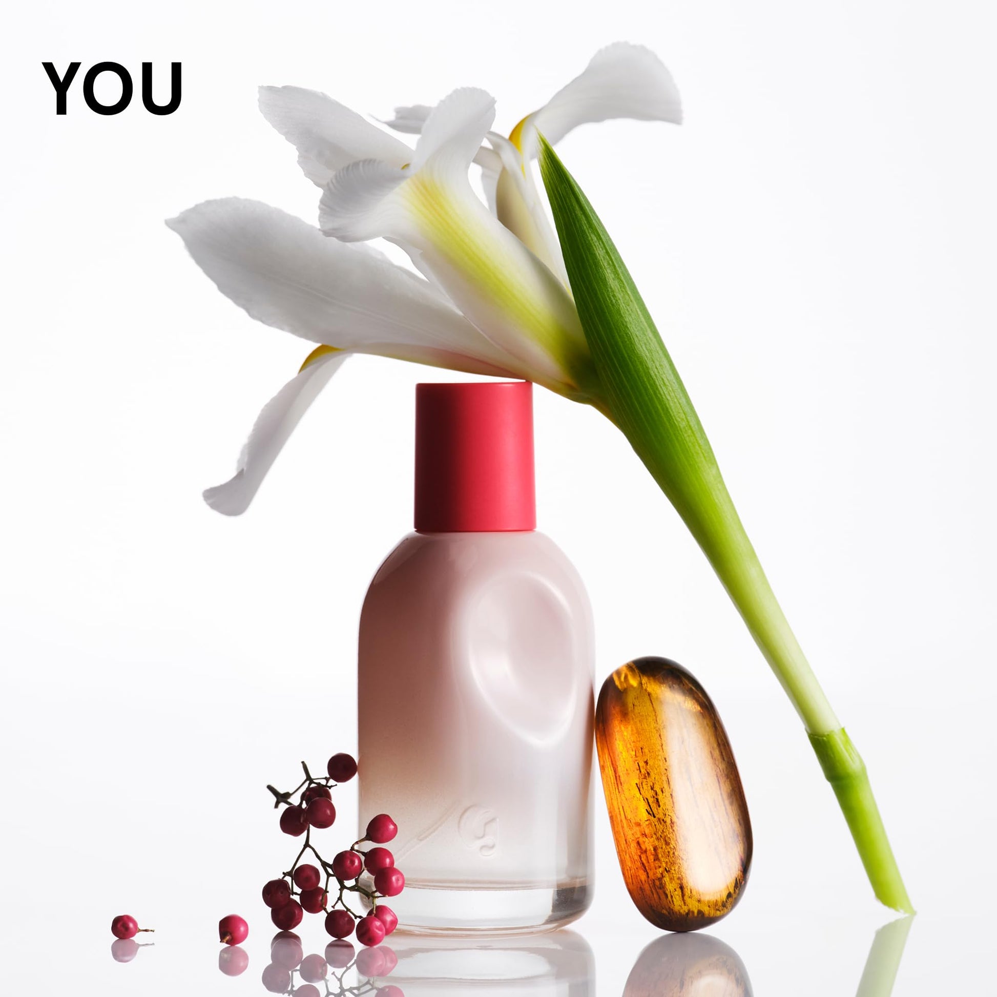 Glossier You Mini Wardrobe Fragrance Set - 4 Unisex Travel Size Eau de Parfum for Women & Men - Skin-Scent Enhancer Perfume Sampler, Smells Different on Everyone - You, Fleur, Doux, Rêve - 1.5ml Each Glossier uk supplements