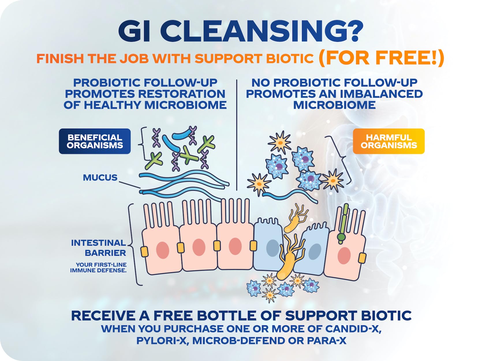 BioMatrix Candid-X Gut Cleanse with Berberine, Oregano, Sodium Caprylate, Chamomile, Ginger BioMatrix uk supplements