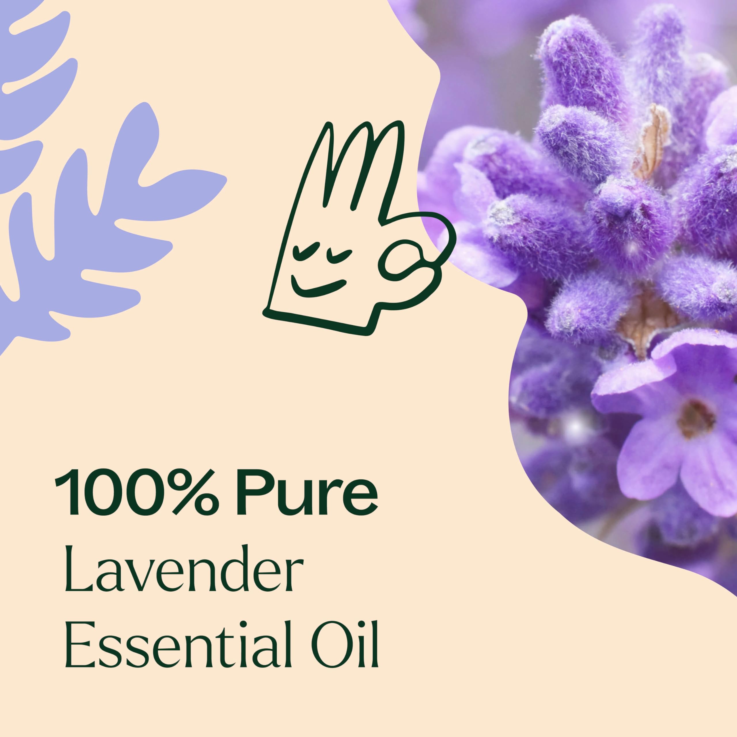 Plant Therapy Lavender Essential Oil 100% Pure, Undiluted, Therapeutic Grade, Aromatherapy Diffuser Plant Therapy uk supplements