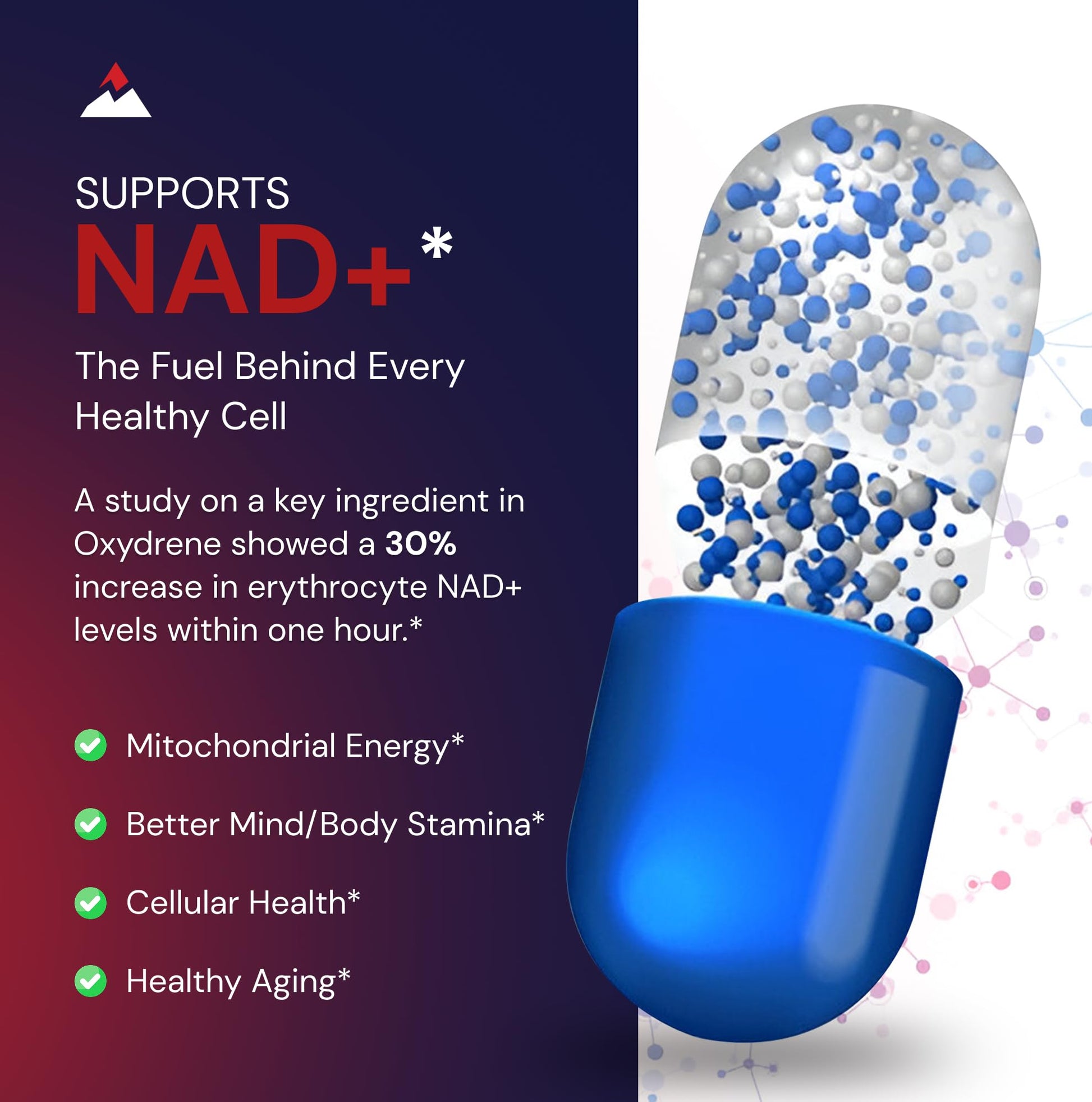 Novex Biotech Oxydrene NAD+ Enhancer - Natural Supplement Promoting Metabolism and Cardiovascular Support for Men and Women - (60 Capsules) Novex Biotech uk supplements