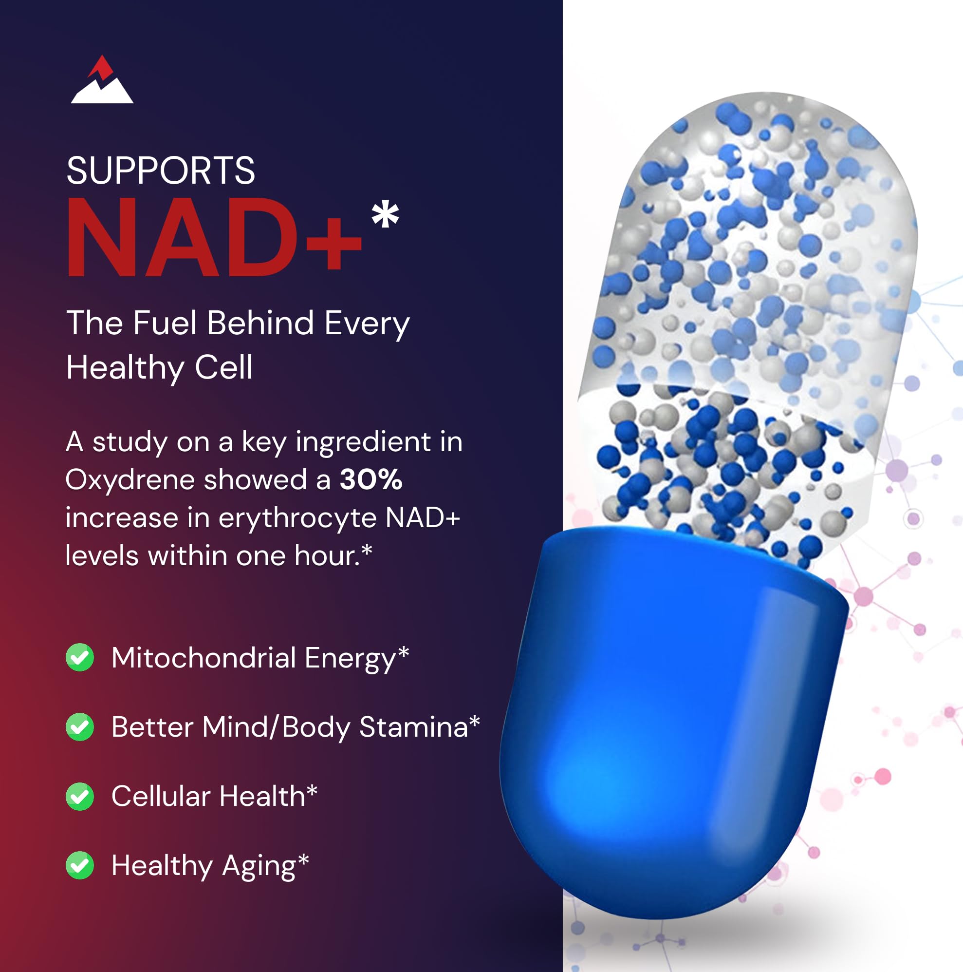 Novex Biotech Oxydrene NAD+ Enhancer - Natural Supplement Promoting Metabolism and Cardiovascular Support for Men and Women - (60 Capsules) Novex Biotech uk supplements