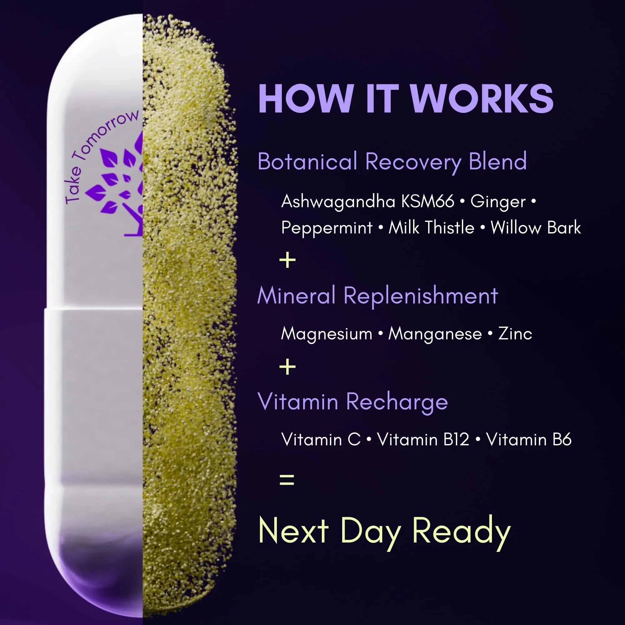 purple tree Next Day – Post-Drink Morning Wellness Supplement for Balance, Restore & Replenishment | Ashwagandha KSM-66, Milk Thistle, Ginger purple tree uk supplements