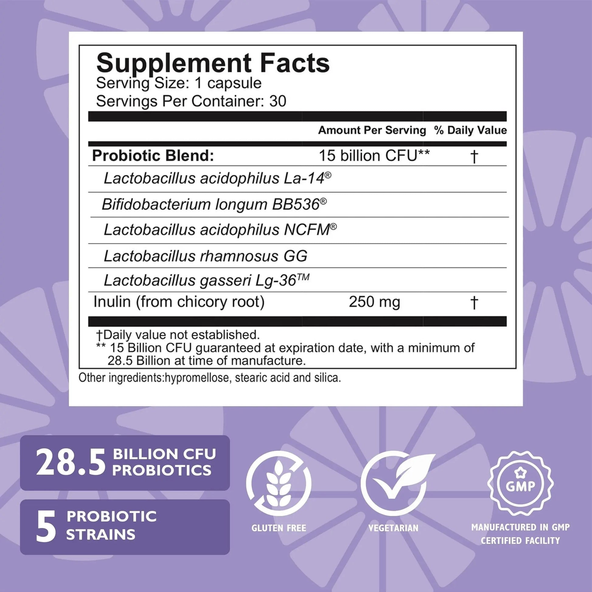 Celebrate Bariatric Essentials Bundle – CelebrateONE Multivitamin, Iron with Vitamin C Chewables, & Balance Probiotic + Prebiotic – Complete Nutritional & Digestive Support for WLS Patients Celebrate Bariatric Supplements uk supplements
