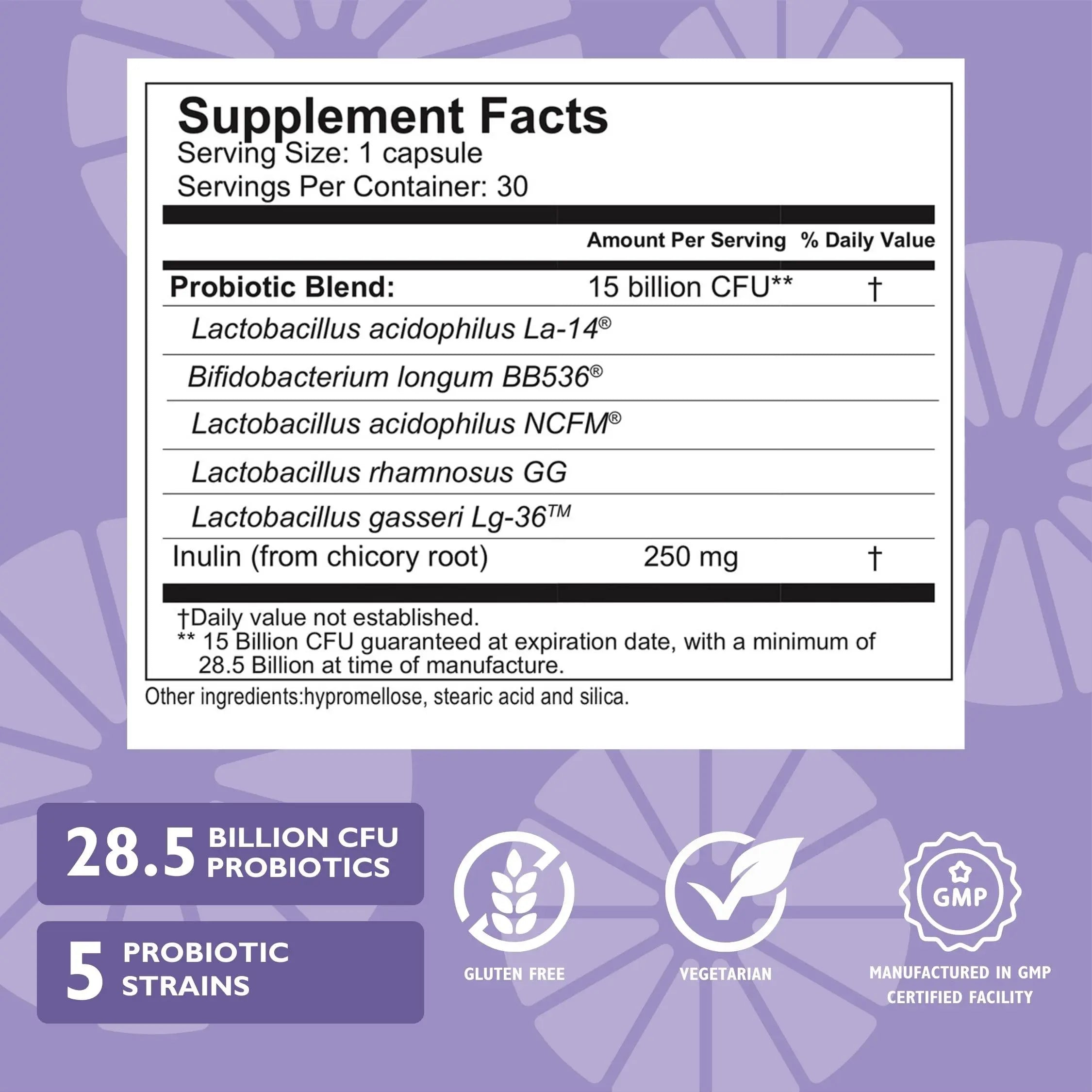 Celebrate Bariatric Essentials Bundle – CelebrateONE Multivitamin, Iron with Vitamin C Chewables, & Balance Probiotic + Prebiotic – Complete Nutritional & Digestive Support for WLS Patients Celebrate Bariatric Supplements uk supplements