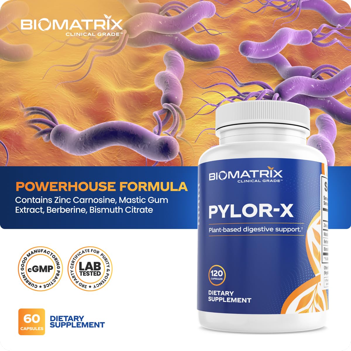 BioMatrix Pylor-X Gut Health Supplement – Mastic Gum, Berberine, Zinc Carnosine & Bismuth Salts for Gastric Support, Digestive Comfort, Stomach Lining Protection - (120 Capsules) 30-60 Day Supply BioMatrix uk supplements