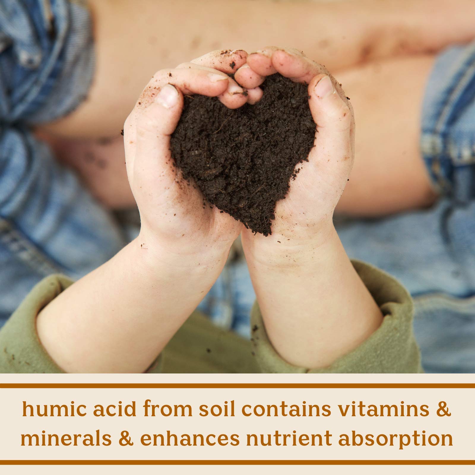 Feel Good SBO Probiotics — Soil Based Organisms (SBOs), Prebiotics, Postbiotics, Humic Acid, Shilajit, Chaga & Turkey Tail Mushroom for Digestion — Solluna by Kimberly Snyder (60CT) Vegan & Non-GMO Solluna by Kimberly Snyder uk supplements