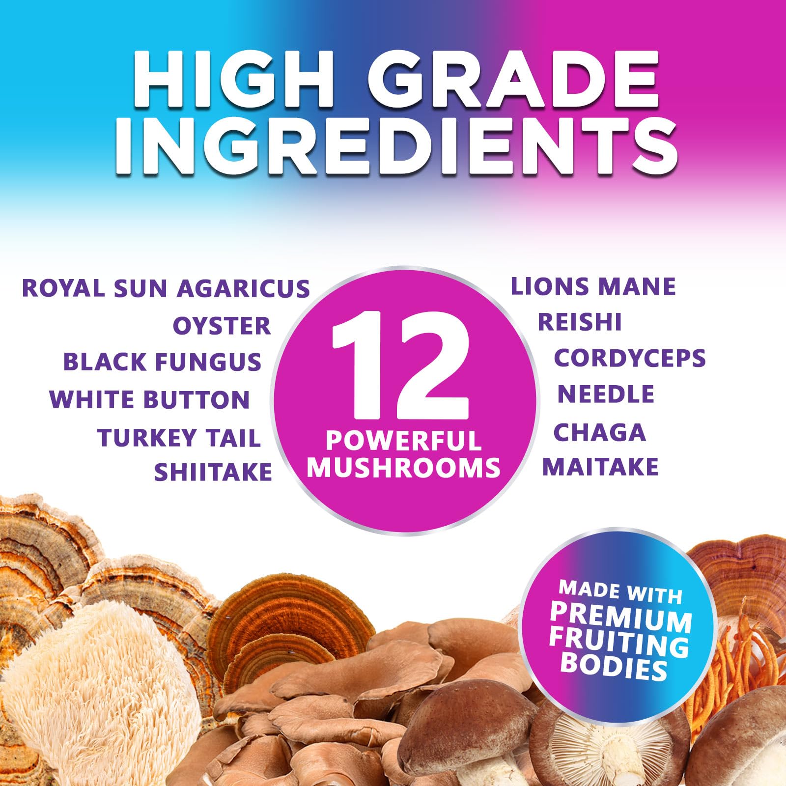 Mushroom Gummies Supplement 12 in 1 - High Grade Blend for Adults with Lions Mane, Reishi, Cordyceps, & Chaga Mushroom Complex Gummy, Memory & Immune Support & Nootropic Brain Supplements - 60 Gummies Nature's Nutrition uk supplements