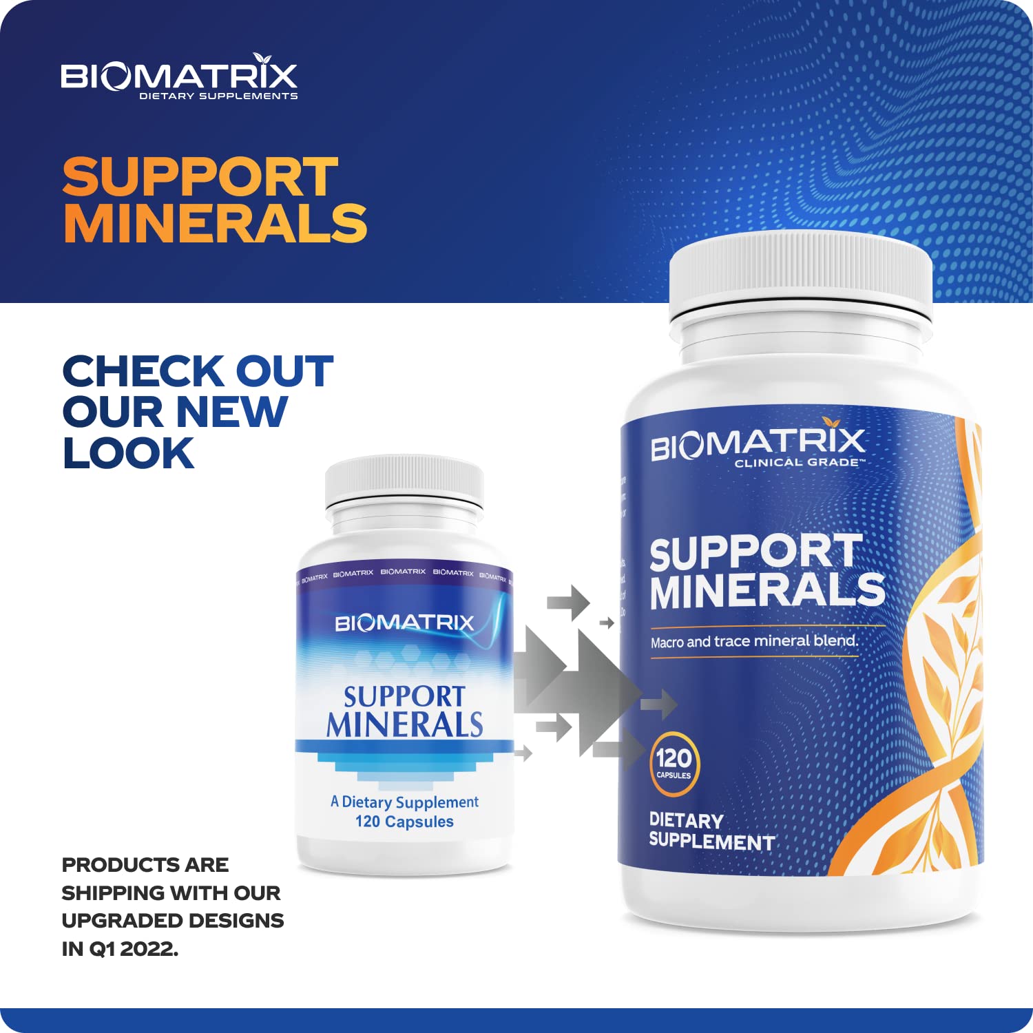 BioMatrix Mineral Supplement for Men and Women, Chelated Minerals | Iron-Free, Calcium, Magnesium, Copper, Zinc, Vitamin D, Iodine | Veggie Caps, 30-Day Supply BioMatrix uk supplements