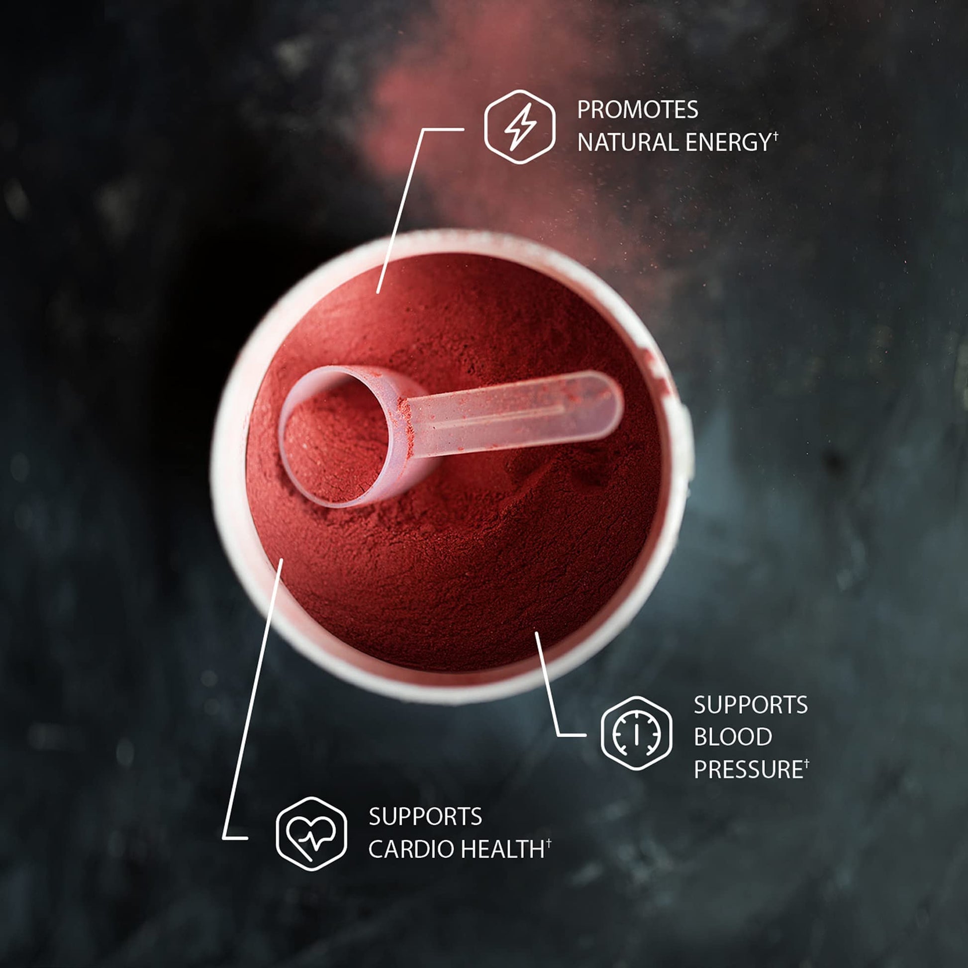 Snap Supplements Nitric Oxide Booster and Beet Powder Snap Supplements uk supplements