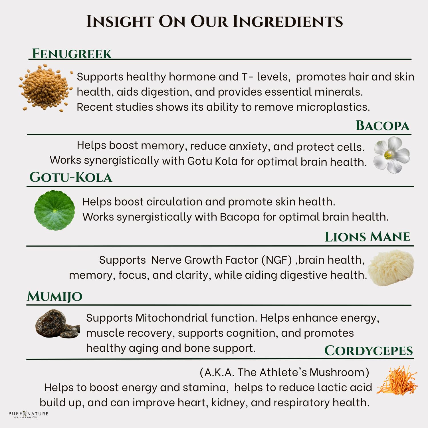 Focus + Energy + Performance Support-6-in-1 Mushroom Nootropic & Mitochondrial Complex-Advanced Brain Supplement-Natural Energy-Caffeine Free Biohack with Lion’s Mane,Cordyceps,Mumijo,Fenugreek Pure Nature Wellness Co. uk supplements