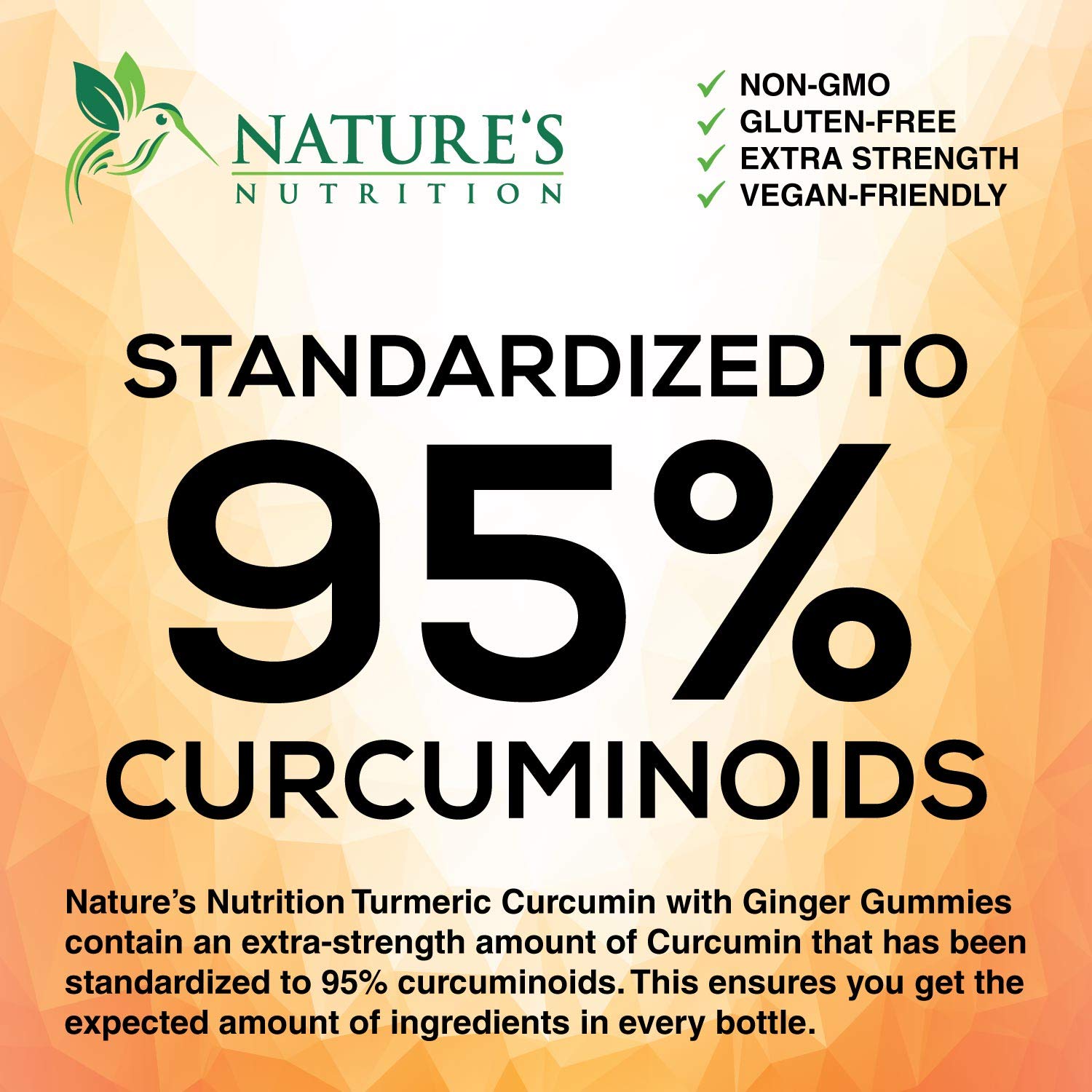 Turmeric Ginger Gummies - Vegan Turmeric Curcumin Gummy with 95% Curcuminoids Nature's Nutrition uk supplements
