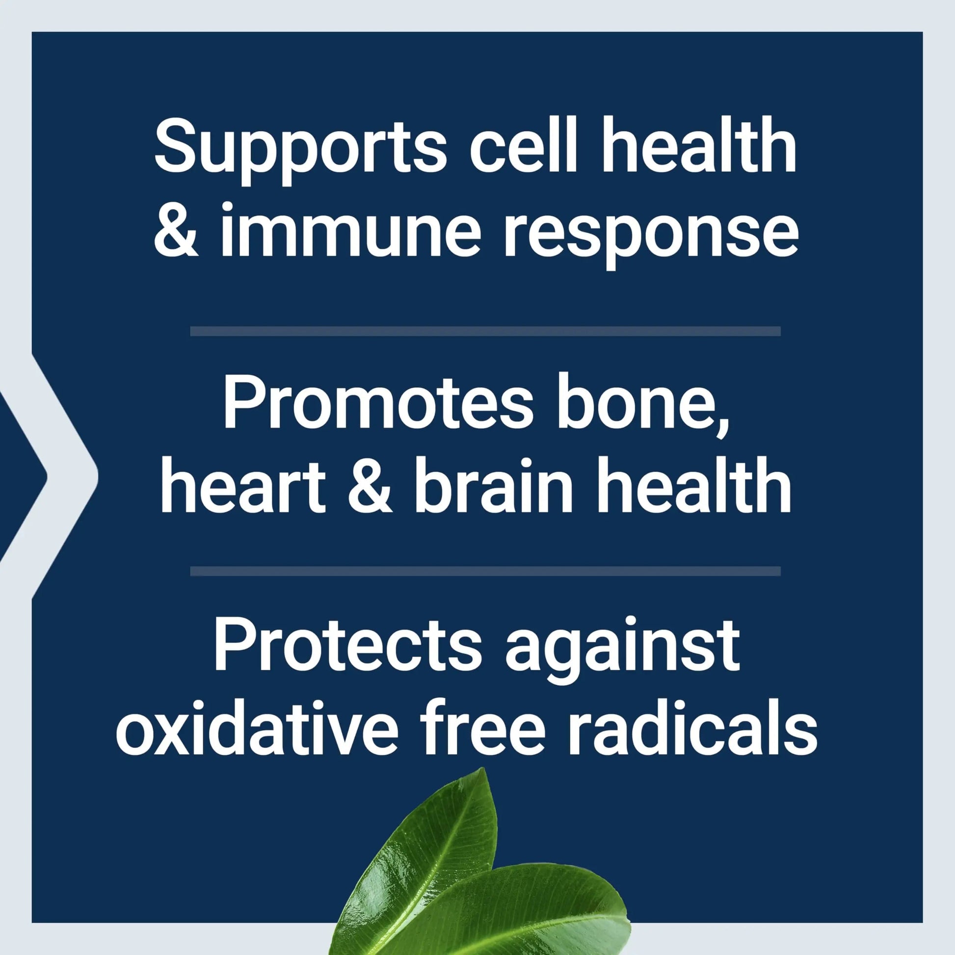 Life Extension Whole Food Multivitamin, Plant-derived Vitamin D3, A, B, C & E, Plus Minerals, Plant extracts, Stay Healthy from Head to Toe Life Extension uk supplements