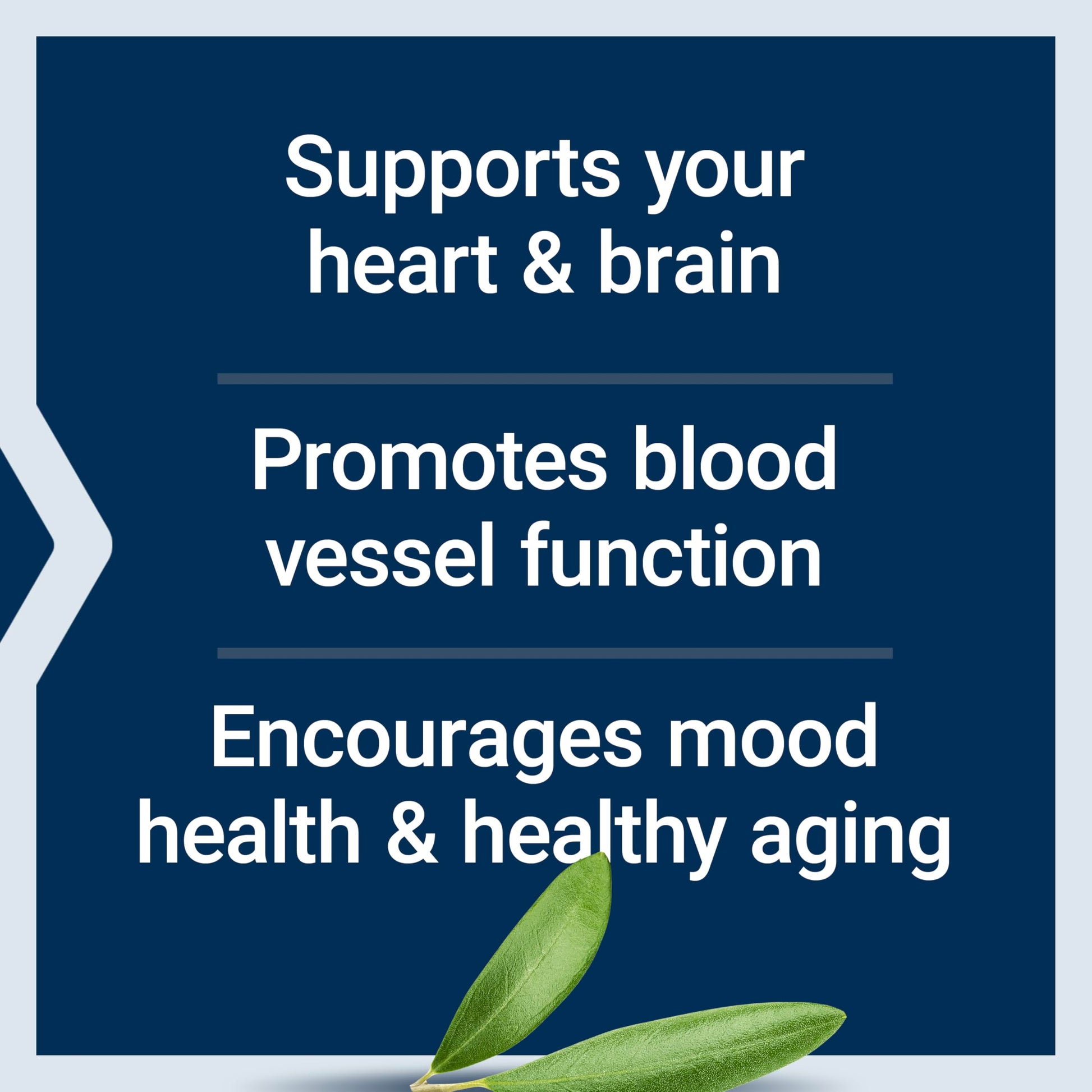 Life Extension Super Omega-3 EPA/DHA Fish Oil, Sesame Lignans & Olive Extract – Heart Health, Brain Health, Inflammation Health Support, Gluten-Free, Enteric-Coated, Non-GMO, 120 Softgels Life Extension uk supplements
