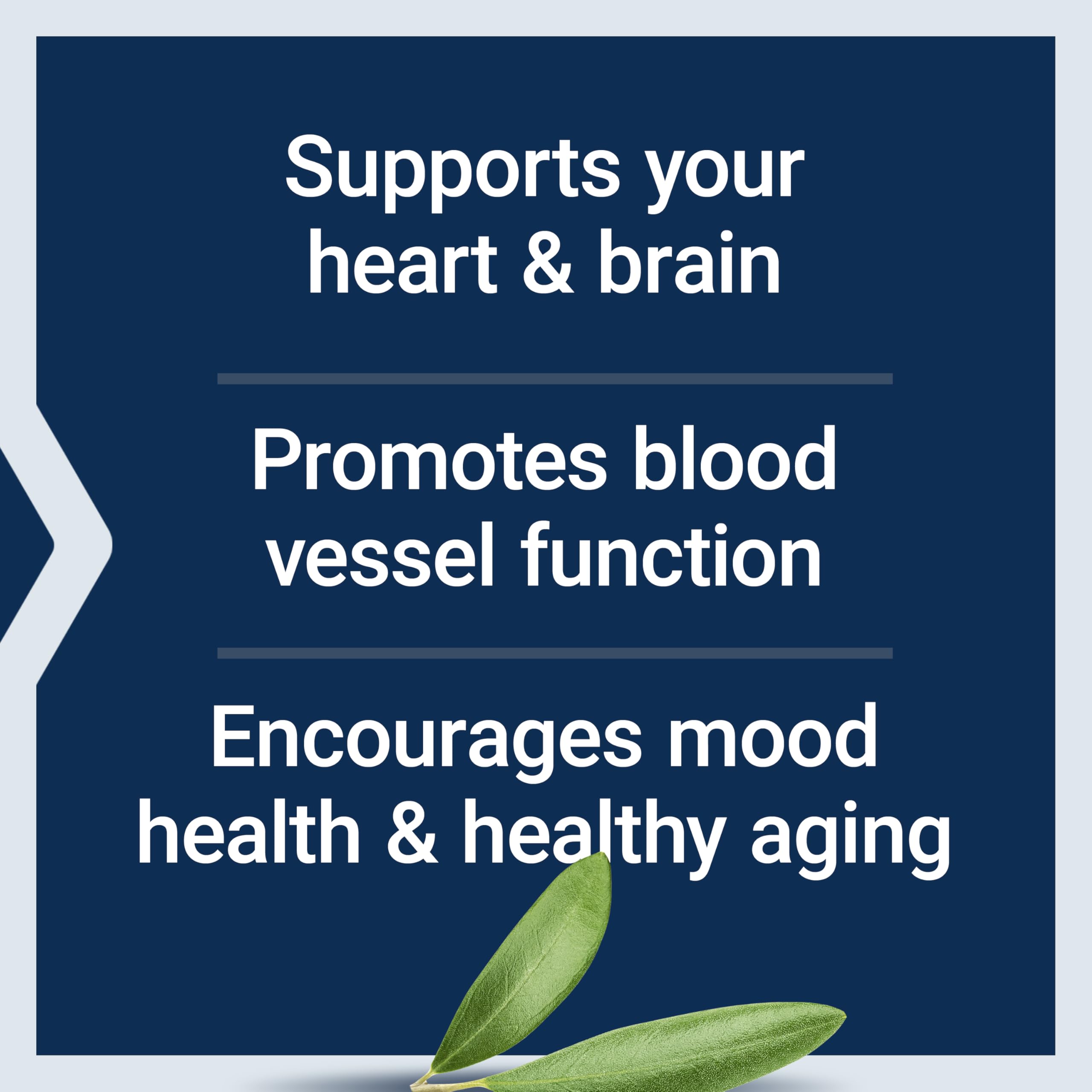 Life Extension Super Omega-3 EPA/DHA Fish Oil, Sesame Lignans & Olive Extract – Heart Health, Brain Health, Inflammation Health Support, Gluten-Free, Enteric-Coated, Non-GMO, 120 Softgels Life Extension uk supplements