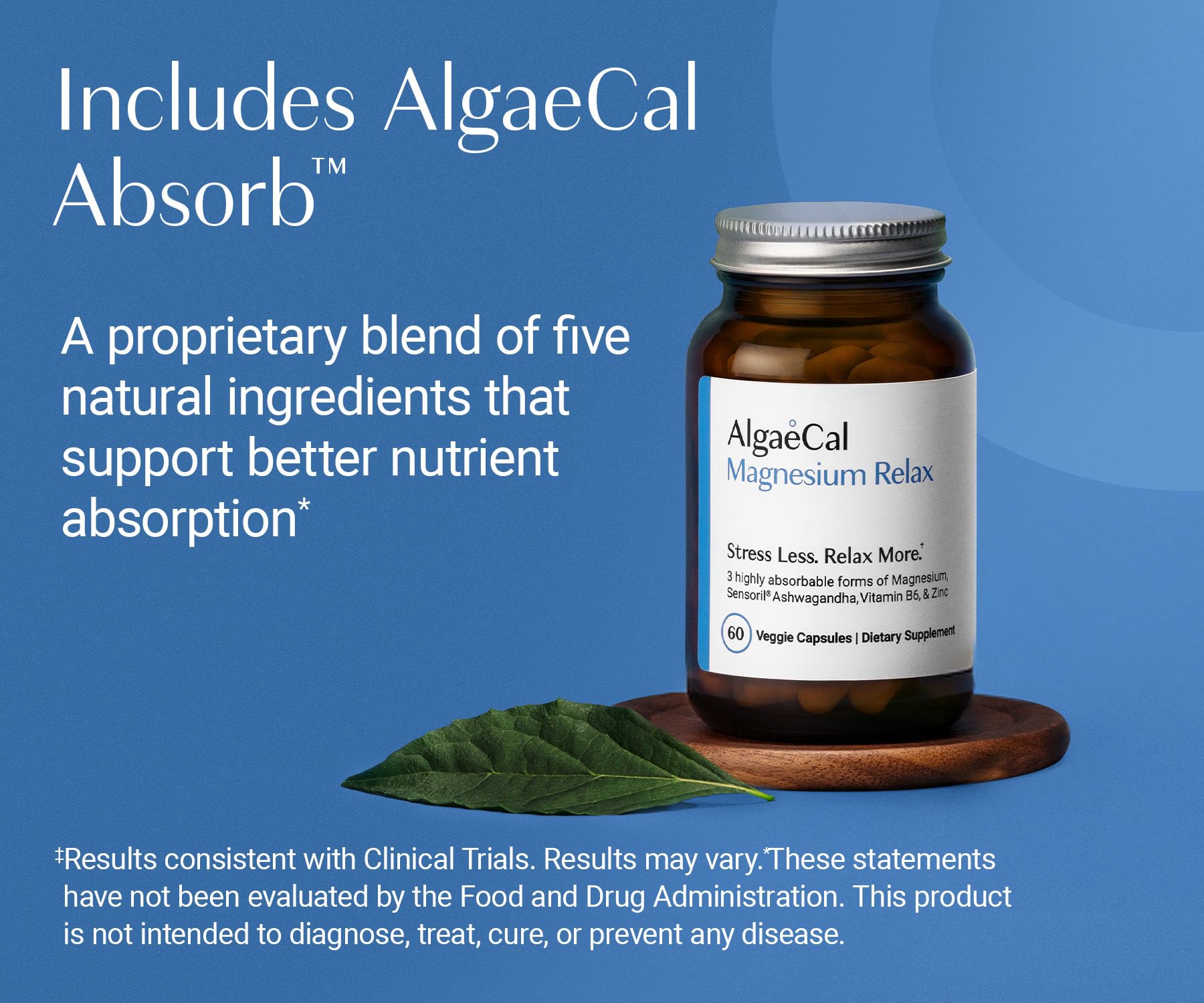 AlgaeCal Magnesium Relax™ - Chelated Magnesium with Ashwagandha for Sleep & Occasional Anxiety - Glycinate, Malate, Citrate - Sleep, Mood, & Cortisol Support (60 Caps - 1 Month Supply) ALGAECAL uk supplements