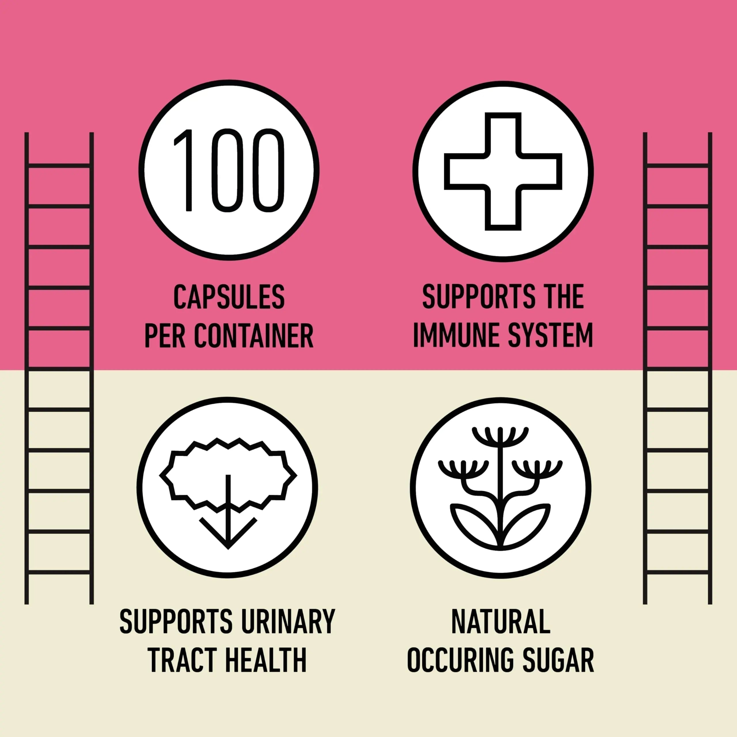 D Mannose 520mg Capsules - Organic D Mannose Supplement for UT Support, Urinary Tract Bladder Health Pills, Plant Based Formula, Vegan Non GMO, No Fillers, 500 Capsule Count Made USA Certified Kosher Complete Natural Products uk supplements