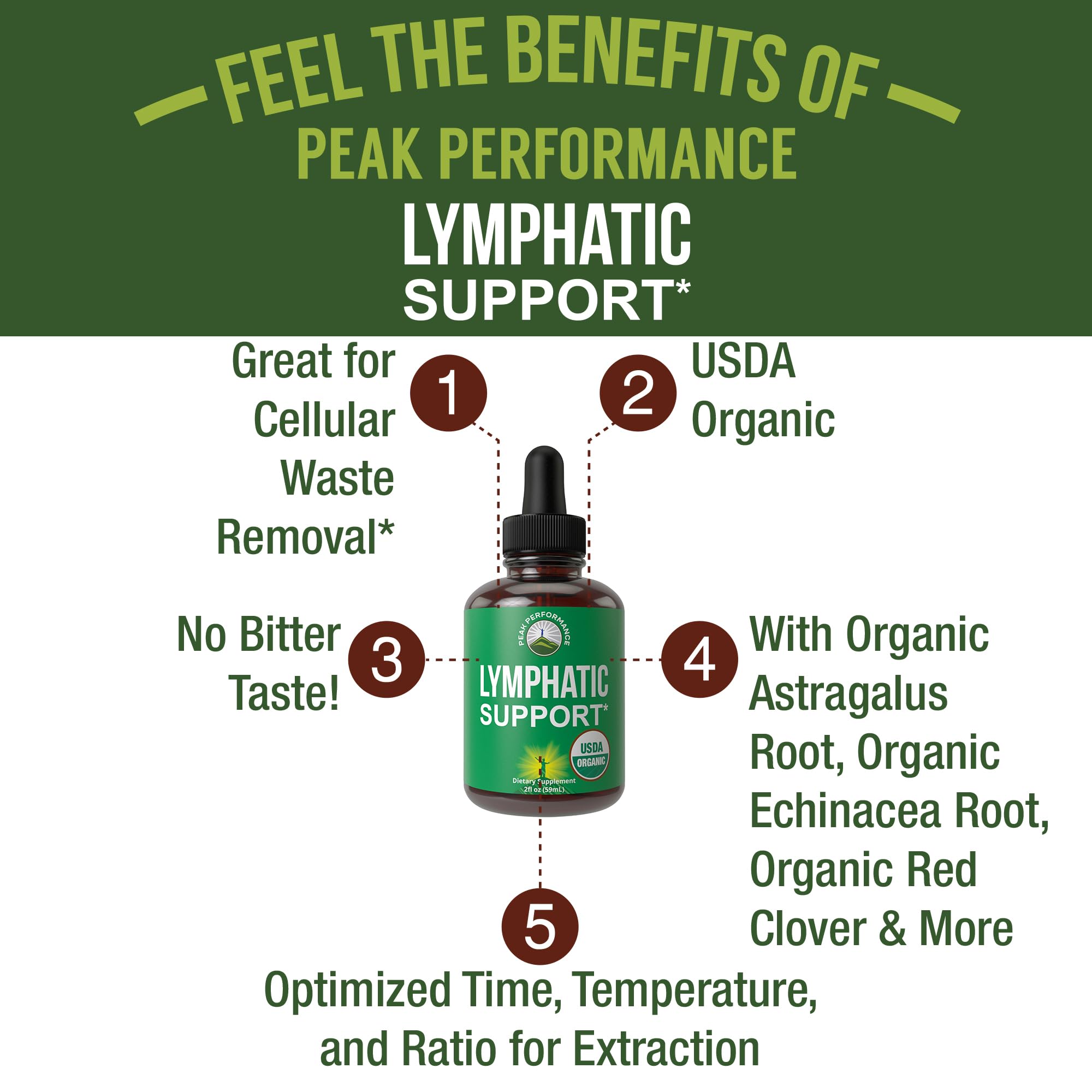 USDA Organic Lymphatic Drainage Drops. Sugar Free, Tasty 6-in-1 Lymph System Support for Detox, Cleanse. Vegan Supplement with Astragalus, Echinacea, Red Clover, Cleavers Herb, Licorice & Burdock Root Peak Performance uk supplements