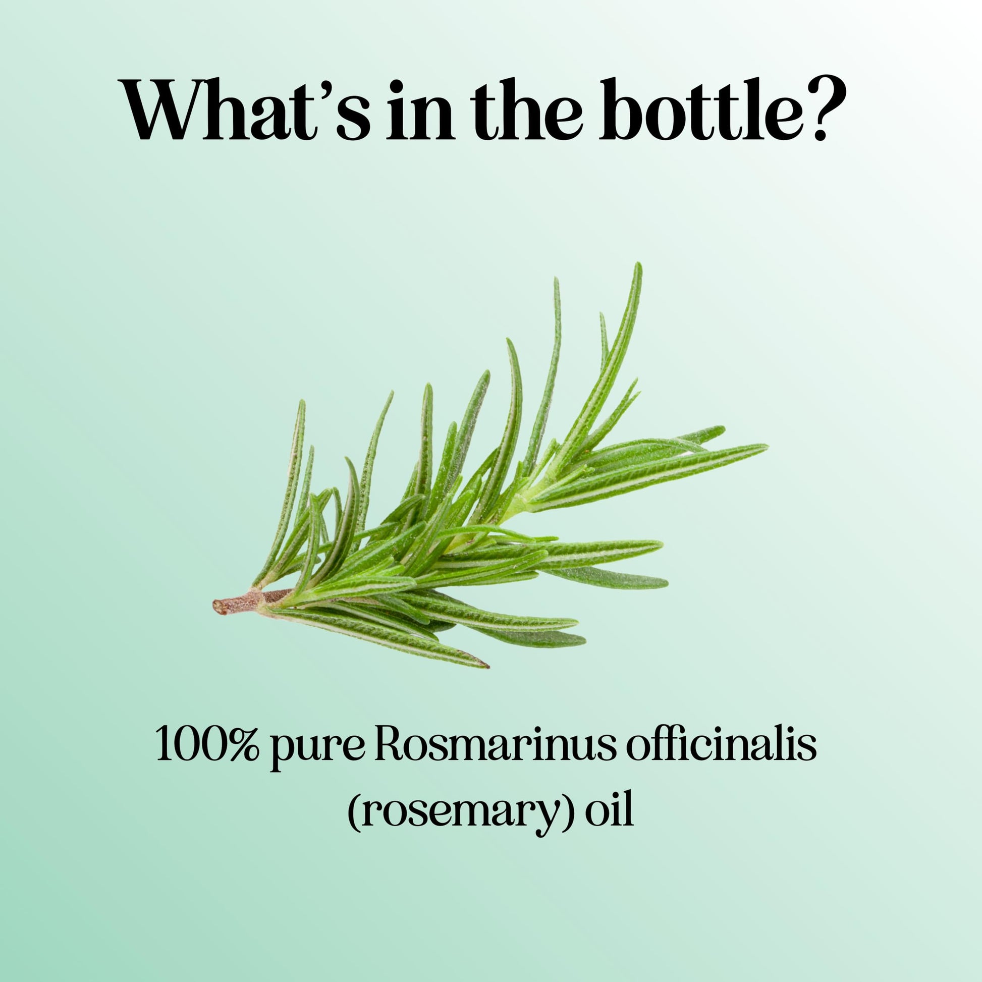 Pure Rosemary Essential Oil for Aromatherapy - Pure Rosemary Oil for Hair Skin and Nails Maple Holistics uk supplements