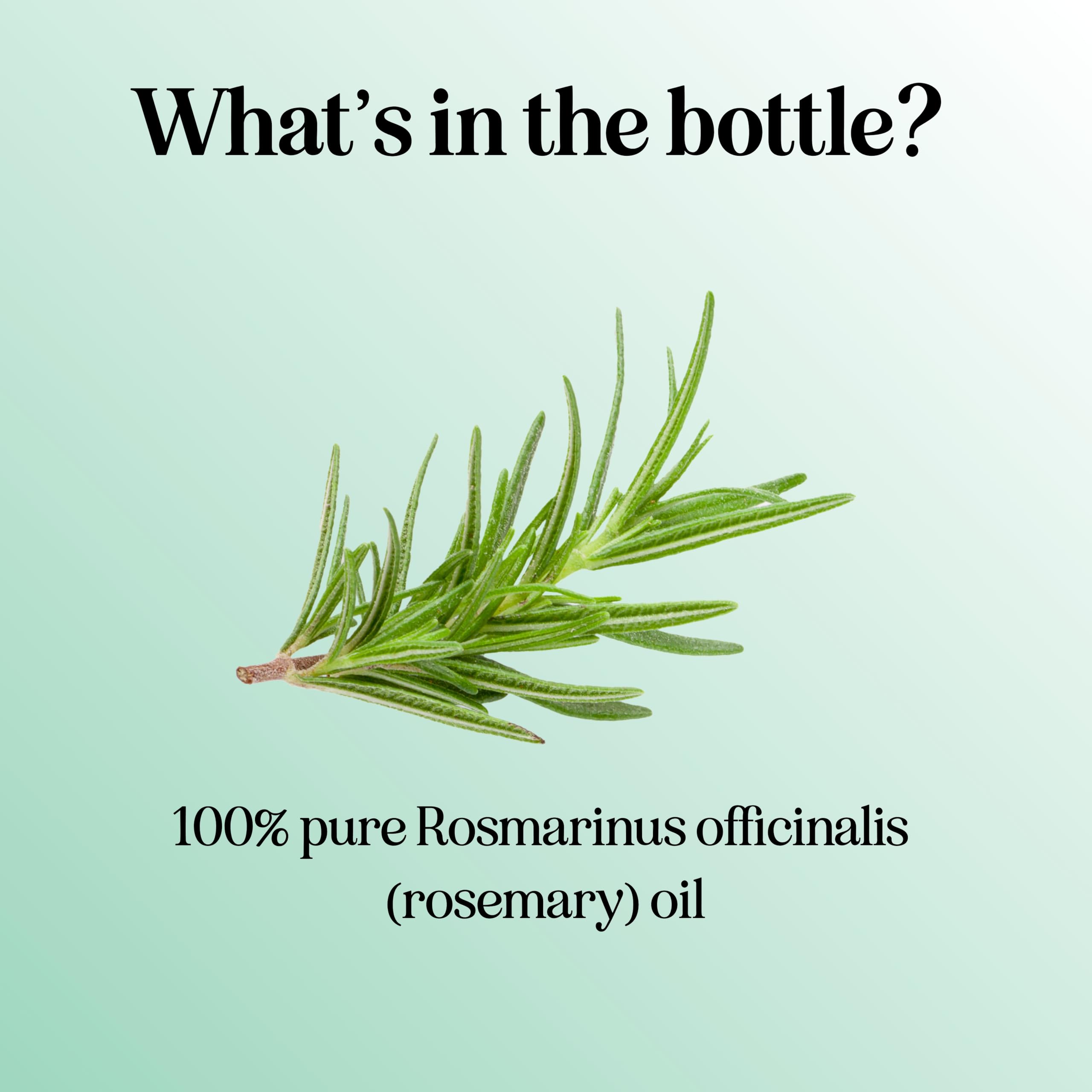 Pure Rosemary Essential Oil for Aromatherapy - Pure Rosemary Oil for Hair Skin and Nails Maple Holistics uk supplements