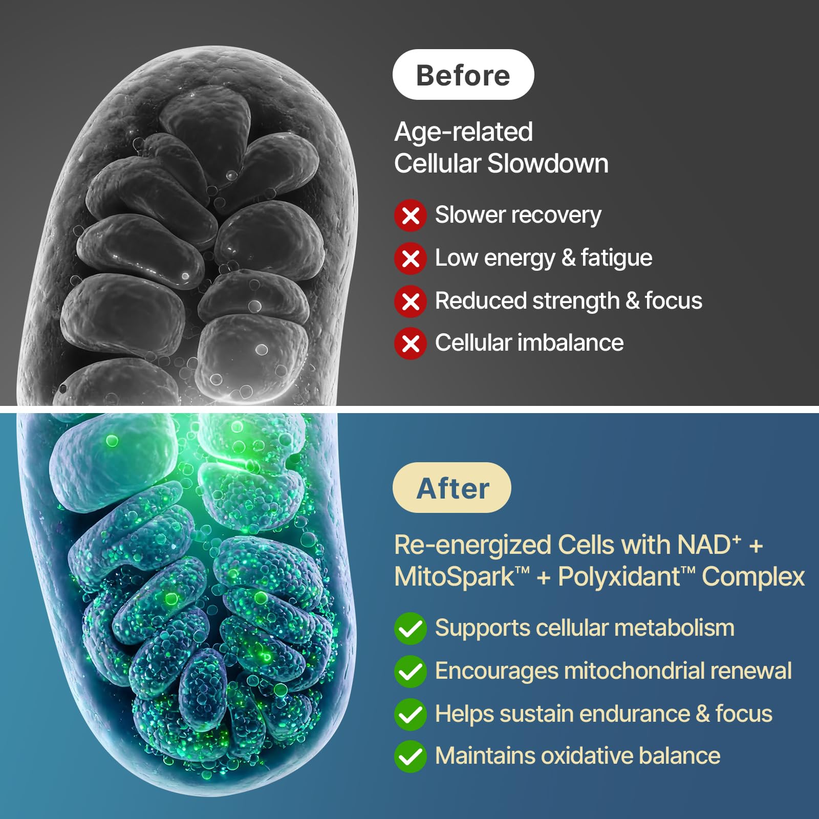 SYZY GENICS NAD+ Supplement 1600mg Extra Strength - Liposomal NMN Alternative with Resveratrol, Urolithin A, CoQ10, Quercetin & ALA - Mitochondrial Energy & Anti-Aging, Cell Regeneration, 60 Softgels SYZY GENICS uk supplements