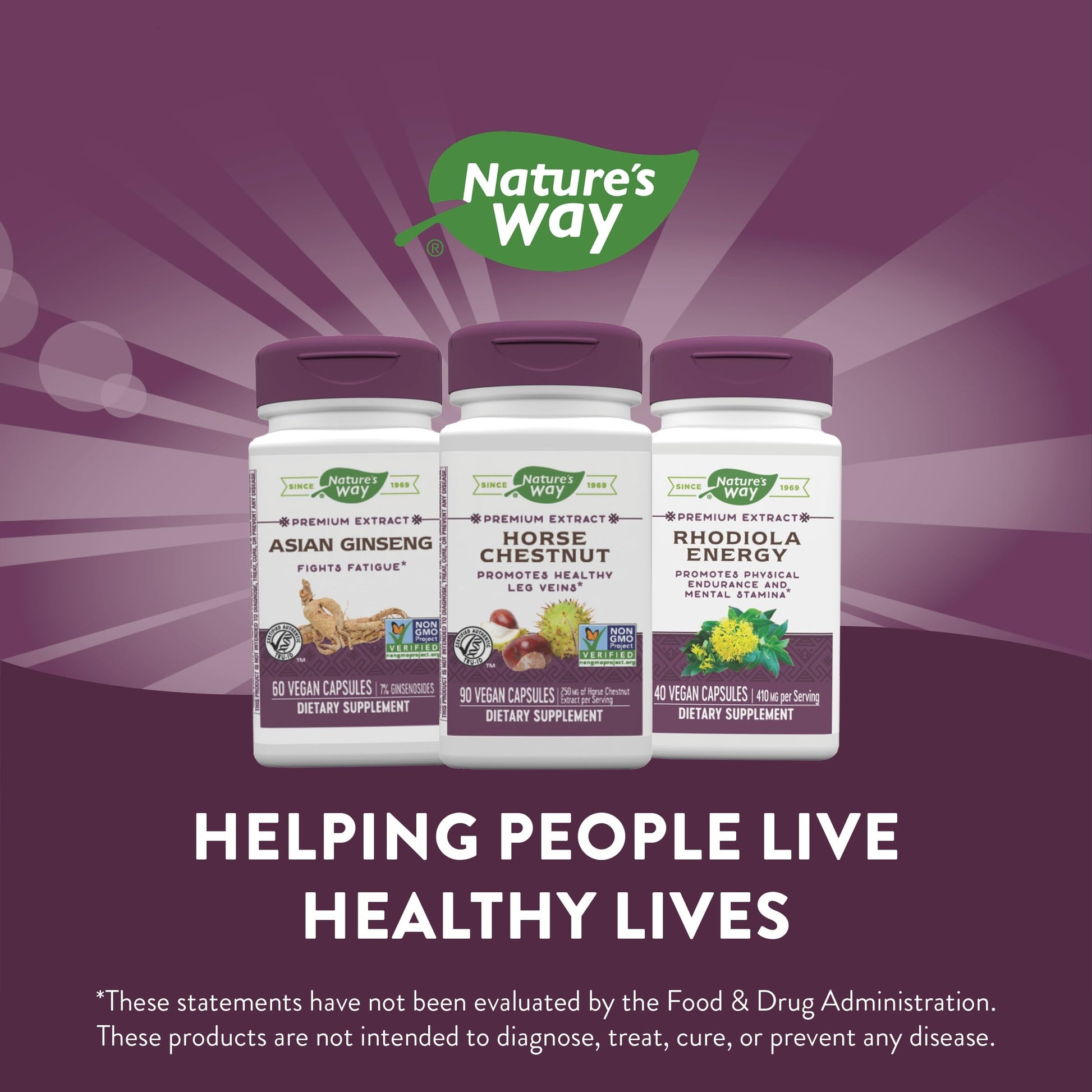 Nature's Way Standardized Horse Chestnut, Premium Extract for Healthy Veins and Blood Nature's Way uk supplements