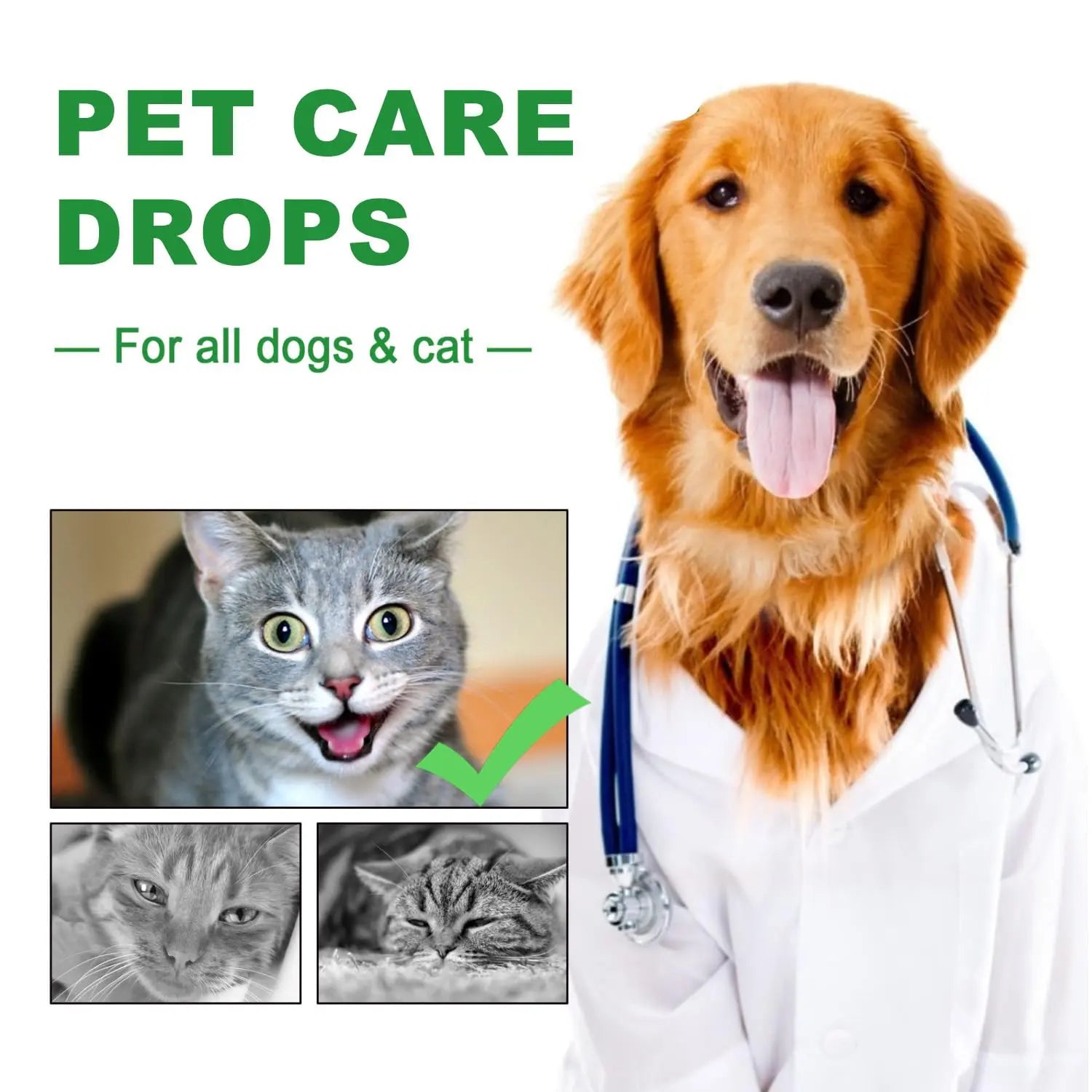Urinary Tract for Cats, Cat & Dog Urinary Tract Drops Infection Remedy with Cranberry Dog Supplements, Cranberry Kidney Bladder Support Supplement - 60ml / 2 Fl.oz JoanofArc uk supplements