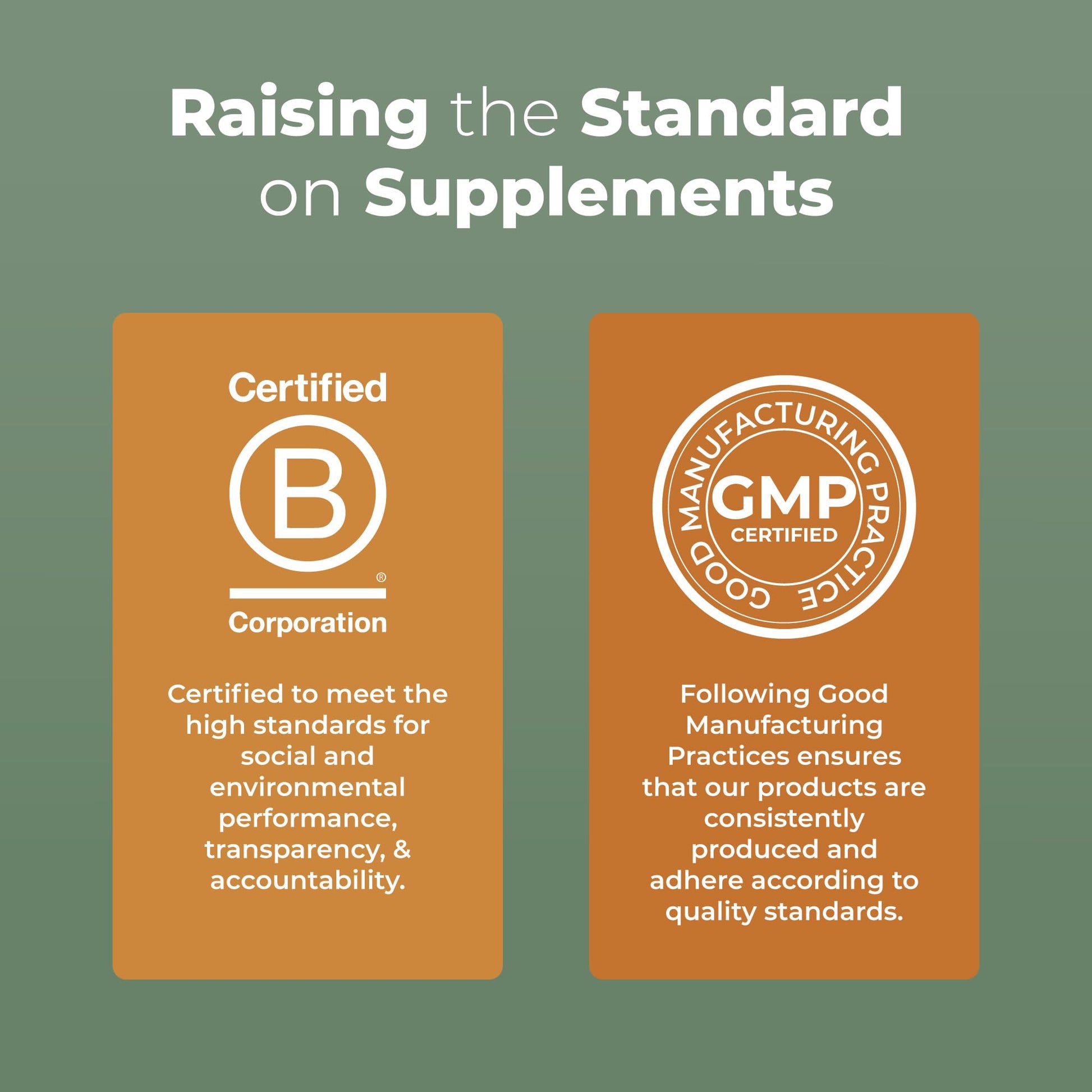 MaryRuth Organics Reishi Vegan Mushroom Supplement | Ultra Absorption Liposomal | Immune Support with 200mg Beta-Glucans, Vegan |Full Spectrum Reishi Mushrooms Fruiting Body | 7.6 oz, MARYRUTH'S uk supplements