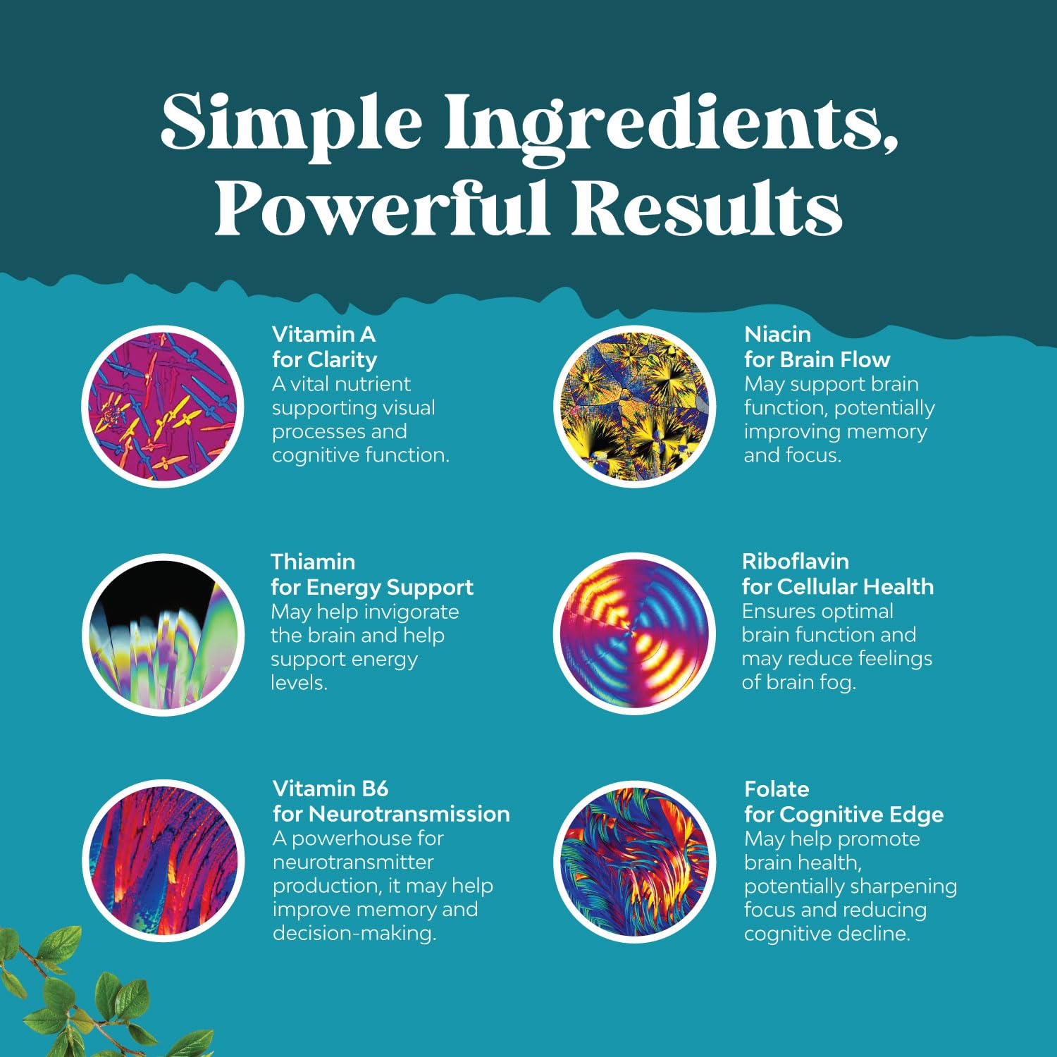 Nootropic Brain Supplement for Memory and Focus Enhancement - Vitamins for Mental Health & Clarity with VIT A, B6, Riboflavin, Niacin, Thiamin & Folate - Cognitive Complex for Mind Vitality - 60 Ct Natures Craft uk supplements