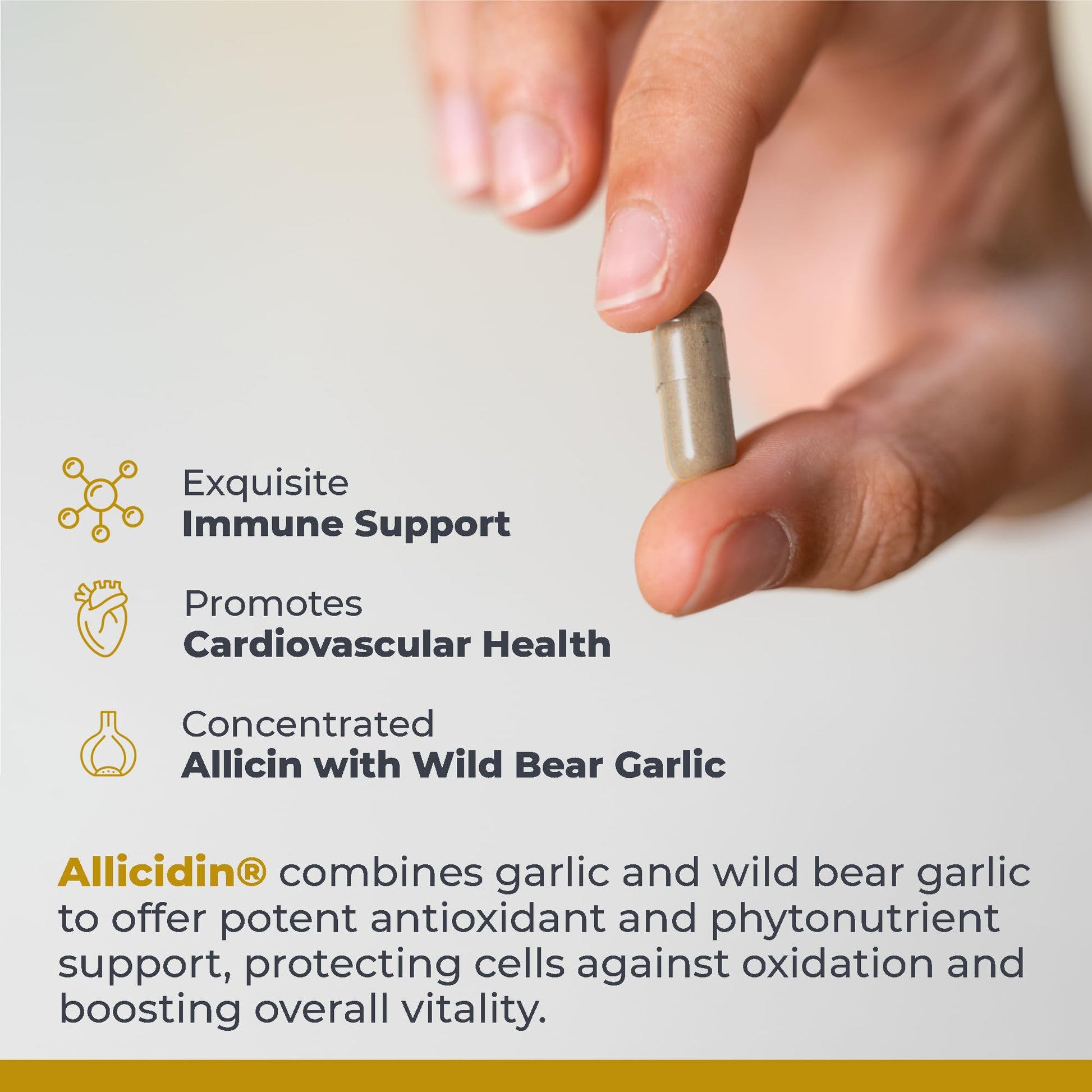 Premier Research Labs Allicidin - Garlic Allicin Supplement, Garlic Supplements, Garlic Pills, Allicin Extract, Garlic Extract, Odorless Garlic Capsules, Immune Support - 60 Vegetarian Capsules Premier Research Labs uk supplements