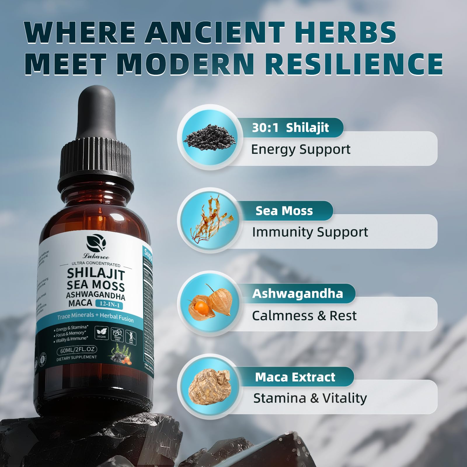 Shilajit Liquid Drops, 12-in-1 Complex - Sea Moss, Ashwagandha, Maca, Fulvic Acid, Trace Minerals, Liquid Vitamins Supplement for Men and Women, Energy, Antioxidant, Immune Support, 60ML/2 FL Oz Lukaree uk supplements