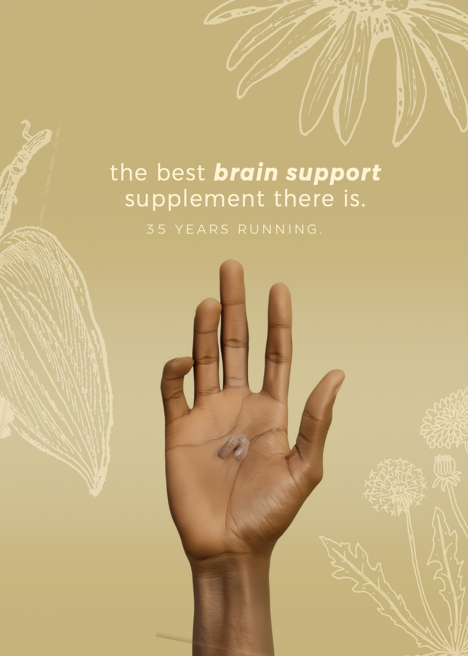 DiamondMIND Brain Support Supplement - Natural Formula for Mental Energy & Cognitive Function - Focus, Clarity, and Memory Supplement - Less Mental Stress - Vegan, Gluten-Free, Dairy-Free - (60 Count) Herpanacine uk supplements