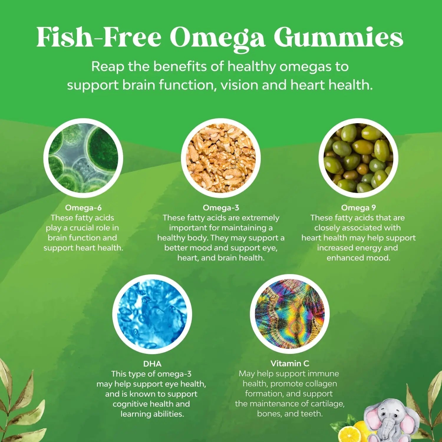 Bundle of Plant Based Kids Multivitamin Gummies with Vitamins A C D3 E B Zinc and DHA Omega 3 Gummies with Vegetarian 6 9 for Vision Brain Immunity Support Natures Craft uk supplements