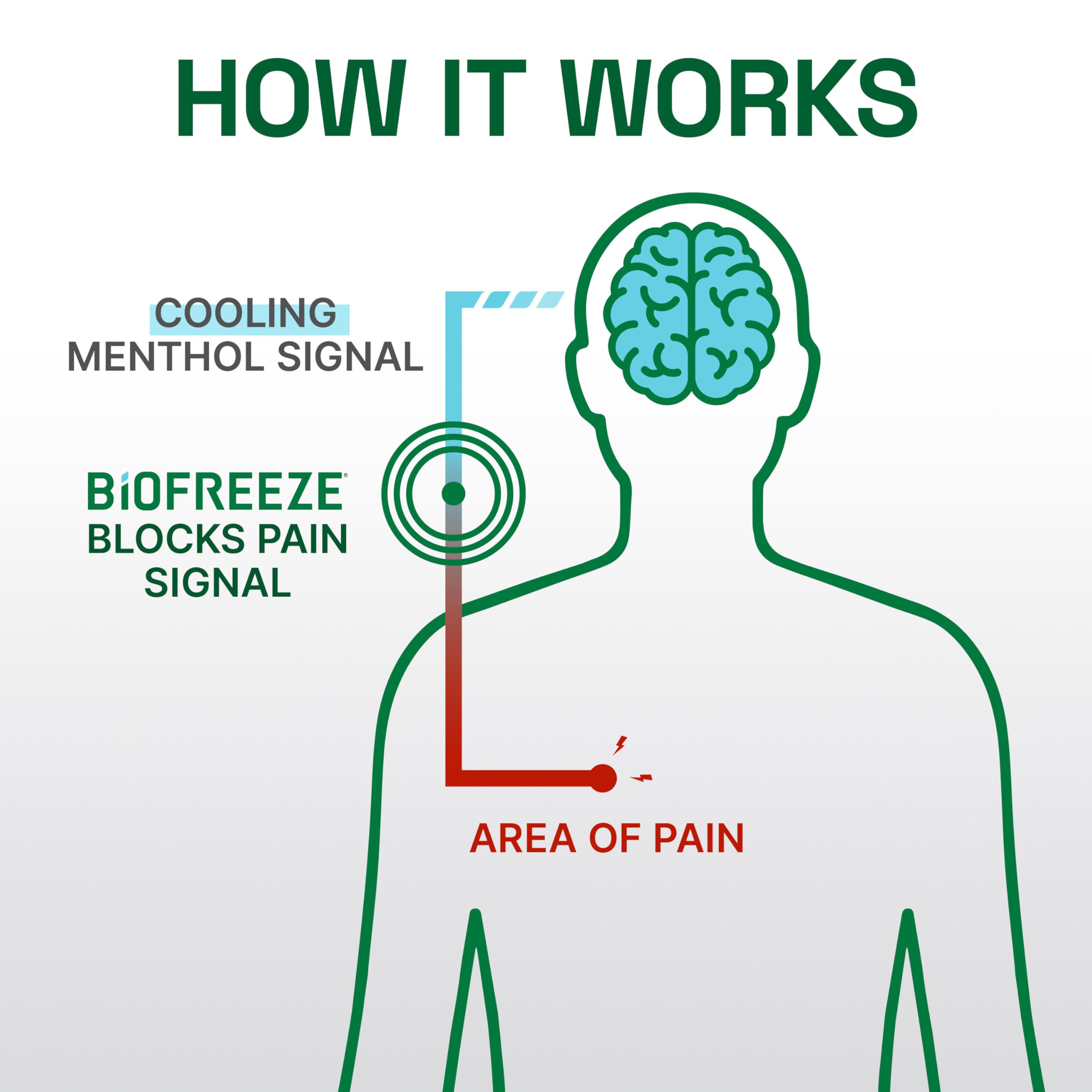 Biofreeze Professional Colorless Pain Relief Roll On, Knee & Simple Backache Relief, Arthritis Pain Reliever, Neck Pain Relief, Cooling Joint Pain Relief, Roll-On Menthol Gel 3 Fl Oz Biofreeze uk supplements