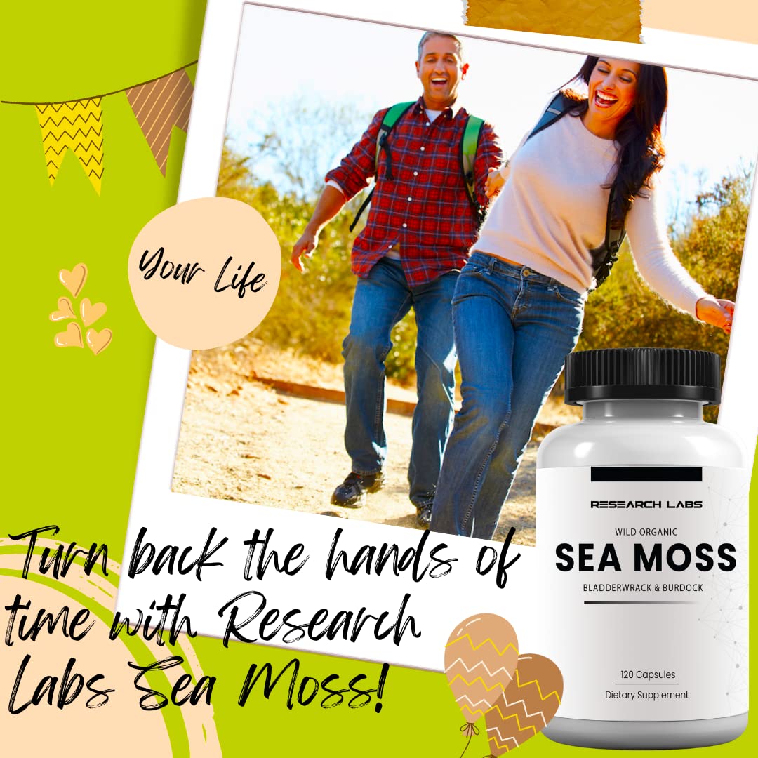 Research Labs 2 Fer 1 Ad Organic Irish Sea Moss Capsules 240 Total Pills, Raw Wildcrafted Seamoss Enhanced w/Bladderwrack & Burdock Root Antioxidant Powerhouse. Thyroid Support Research Labs uk supplements